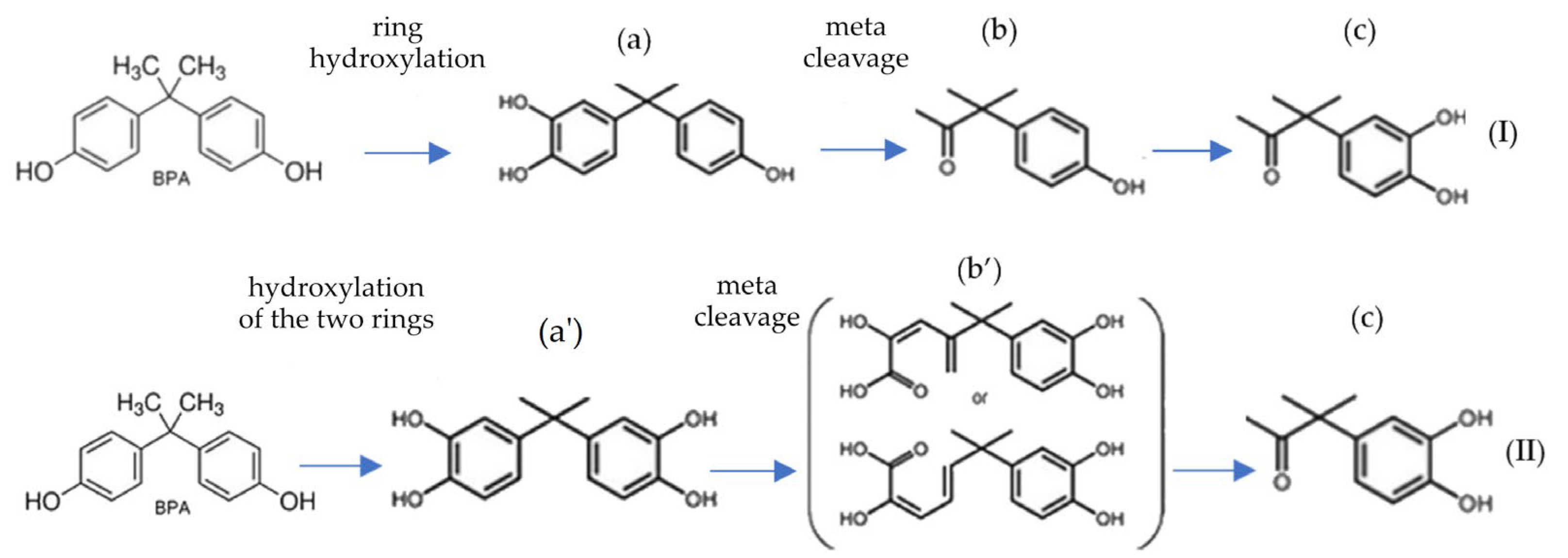 Materials 16 06500 g002 Materials 16 06500 g002