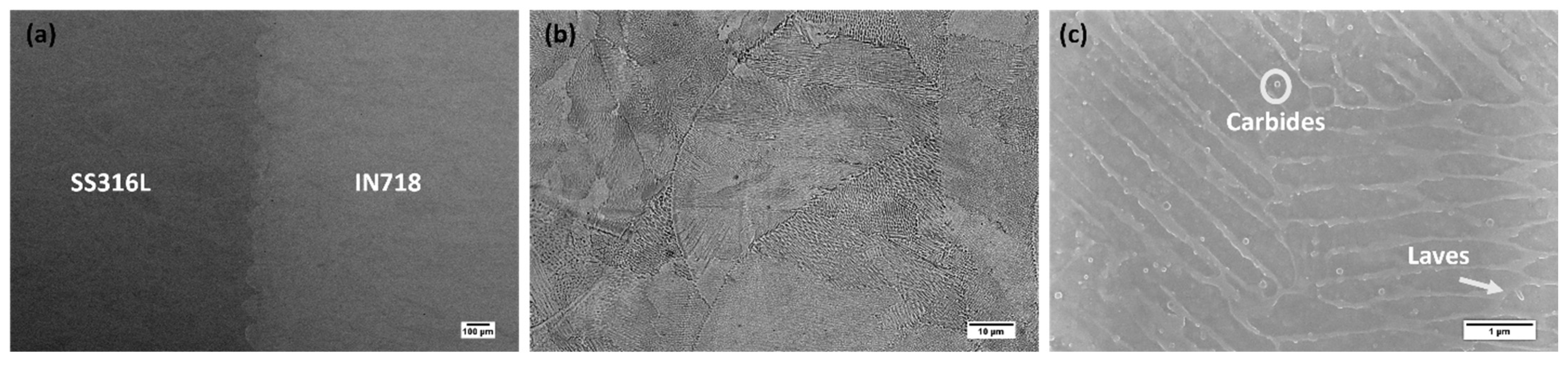 Materials 16 06527 g005