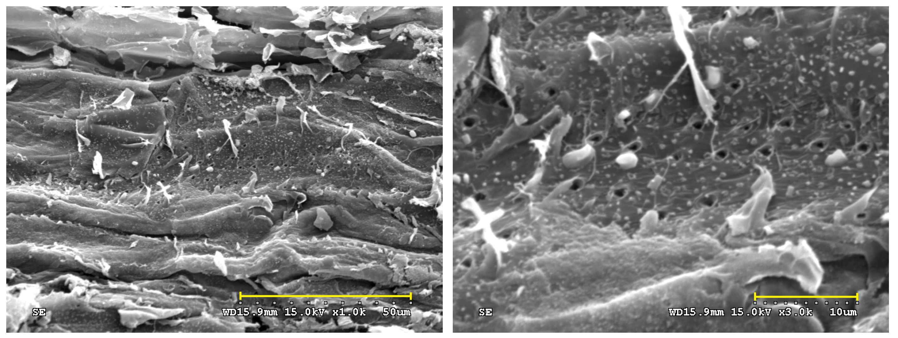 Materials 16 06558 g005