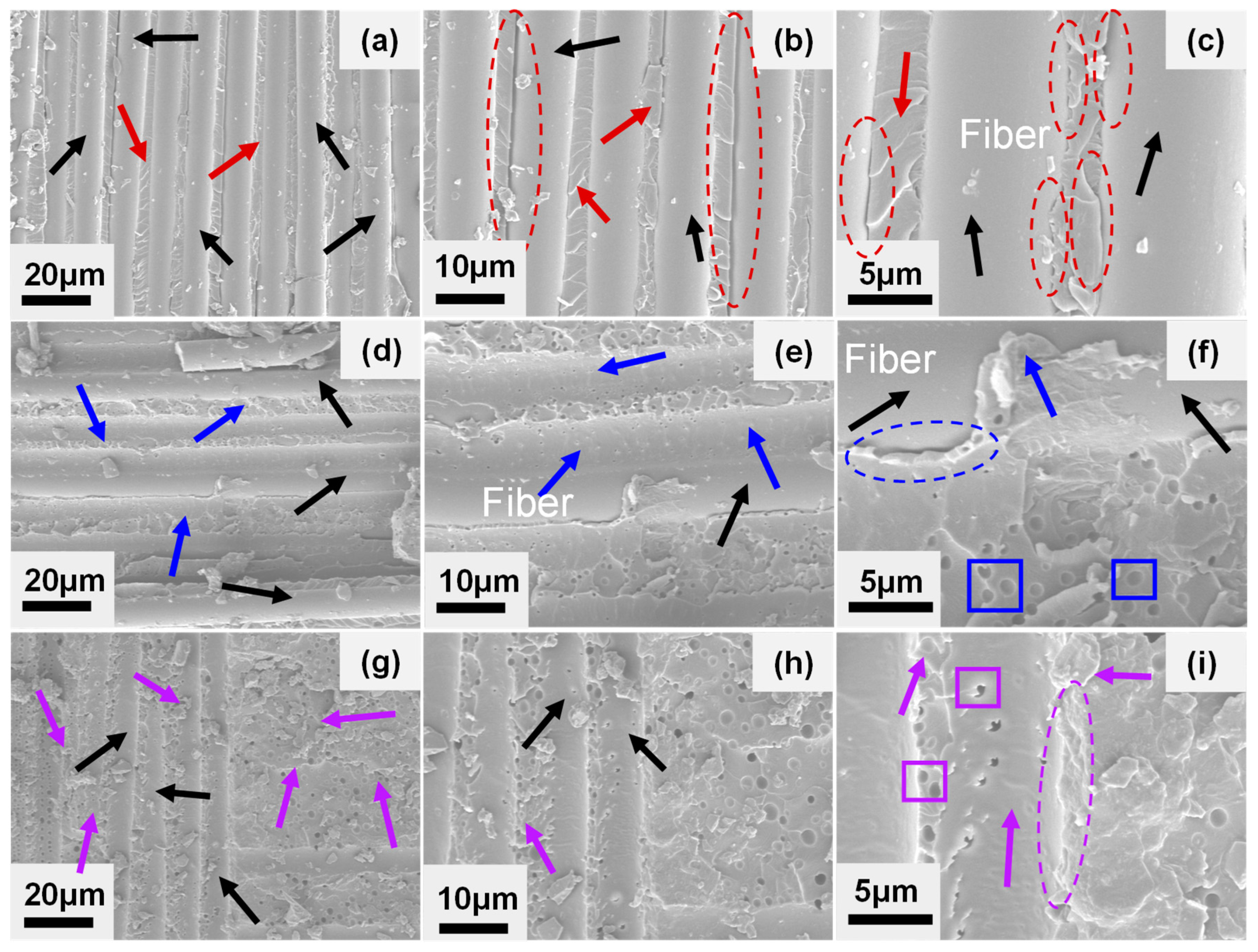 Materials 16 06611 g007