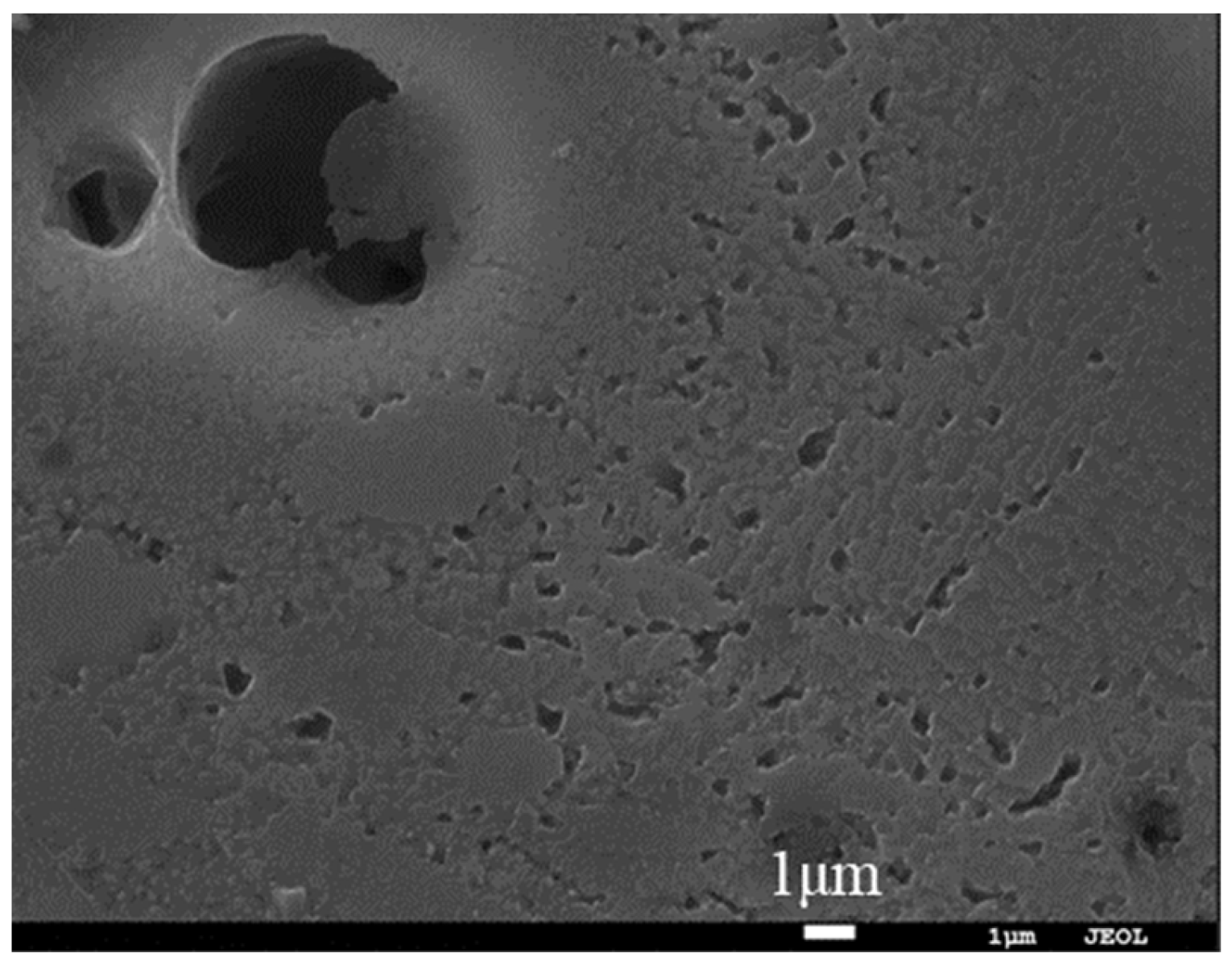 Materials 16 06612 g006