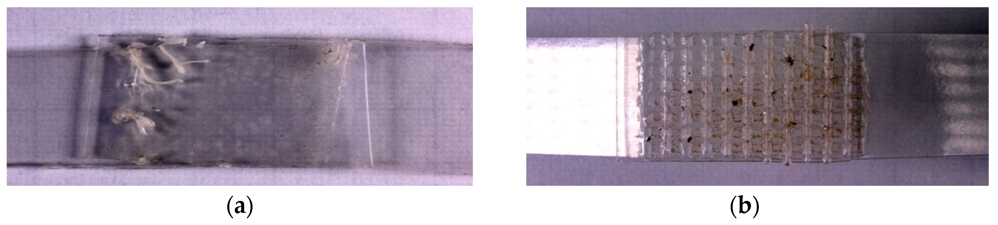 Materials 16 06617 g001