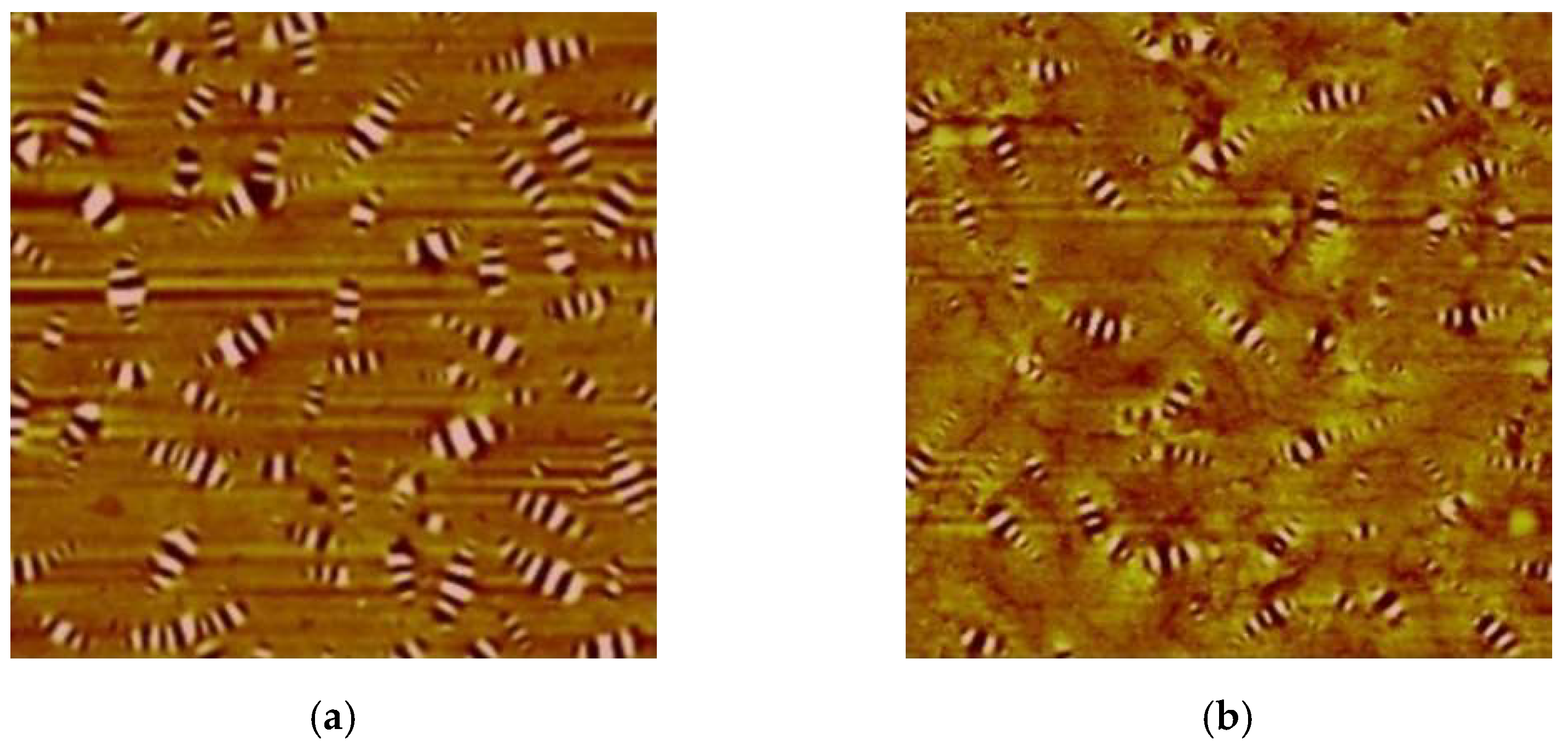 Materials 16 06618 g015a