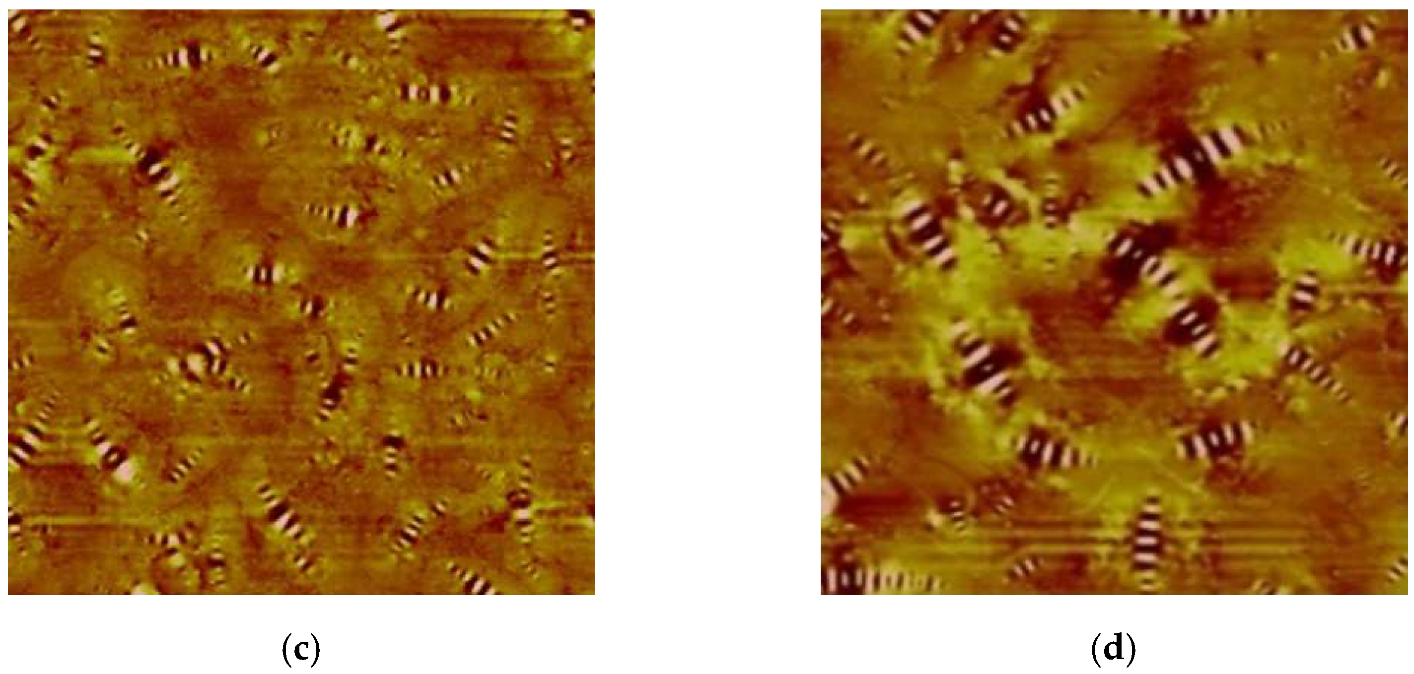 Materials 16 06618 g015b