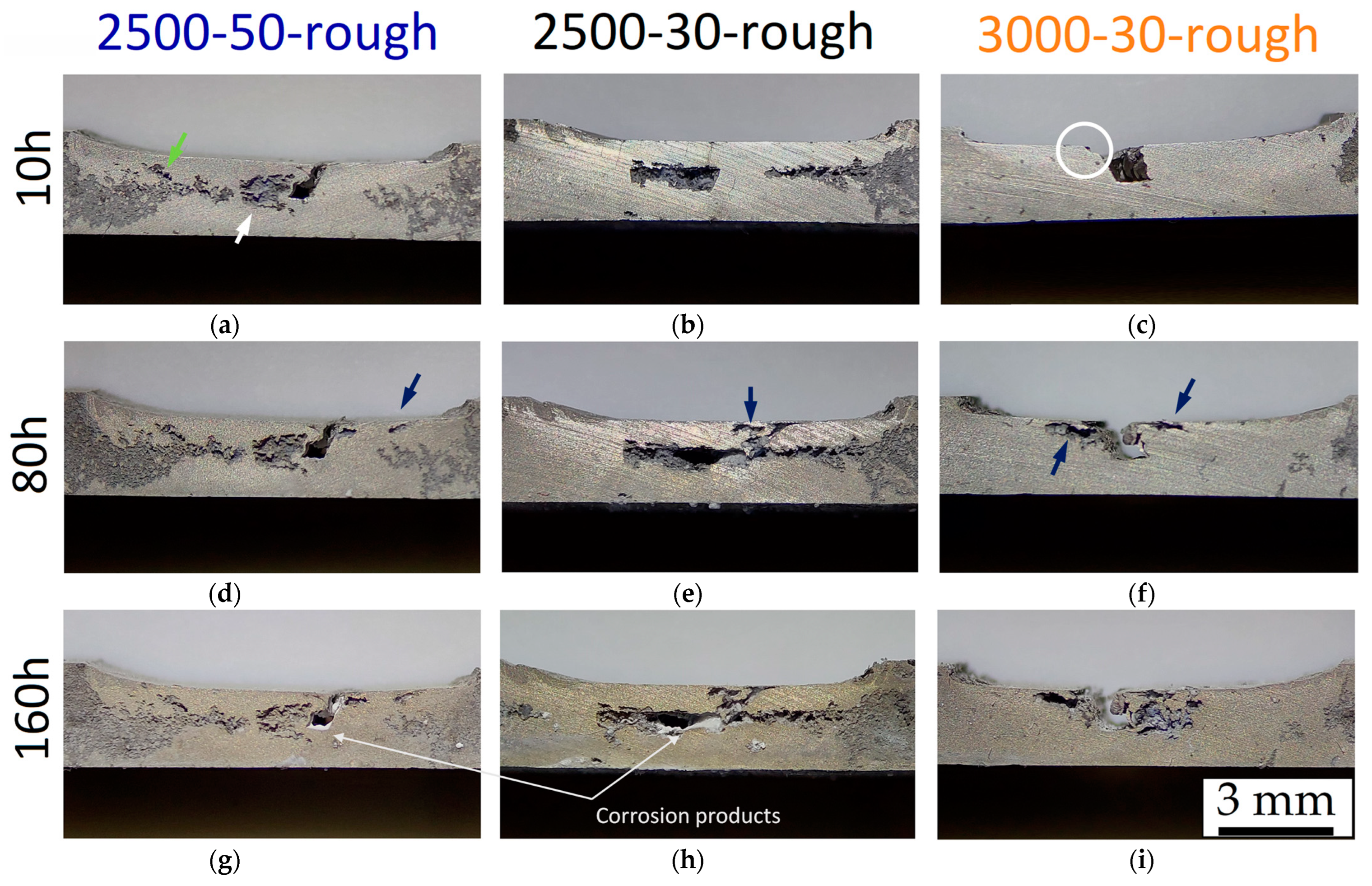 Materials 16 06620 g012