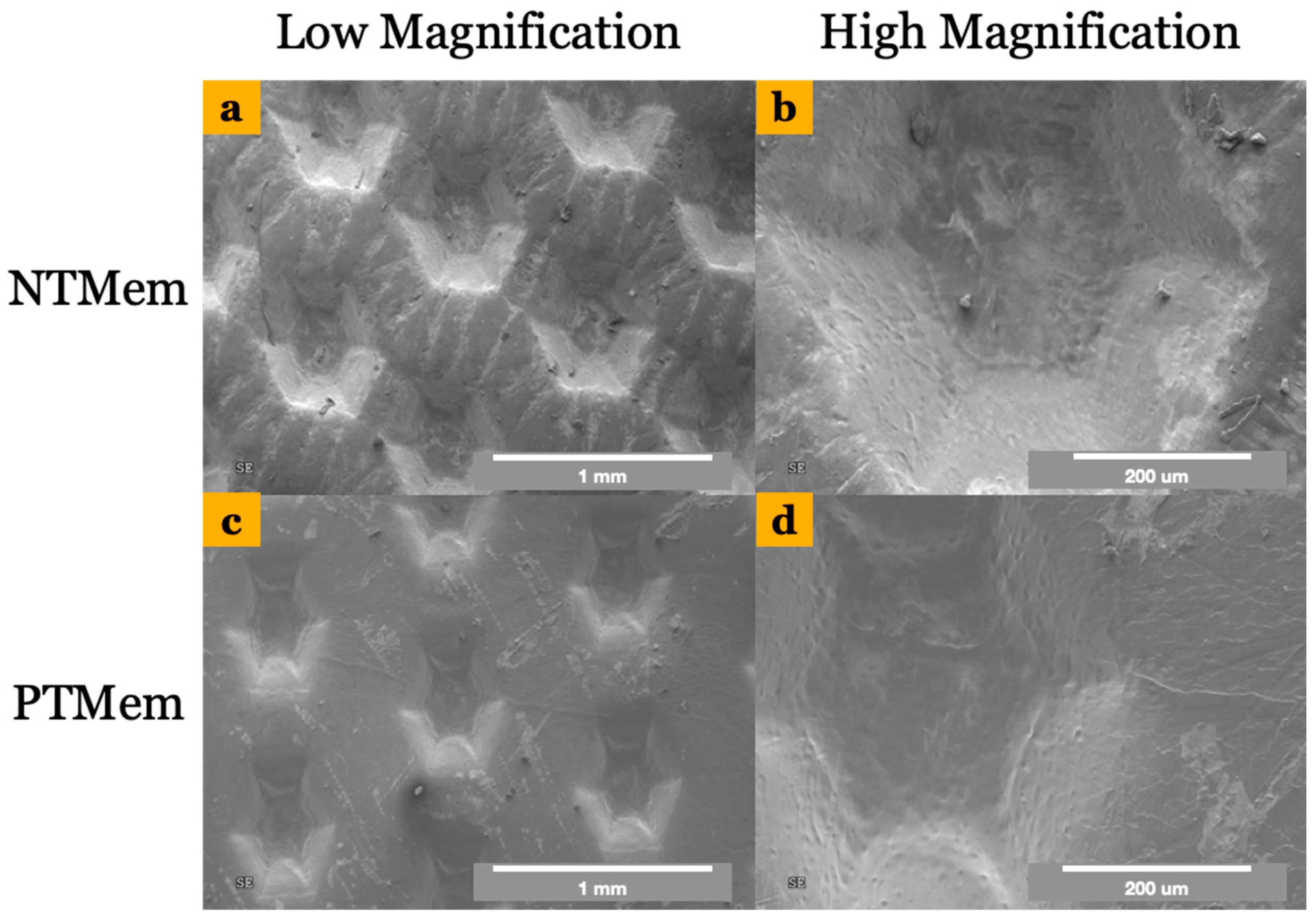 Materials 16 06633 g001