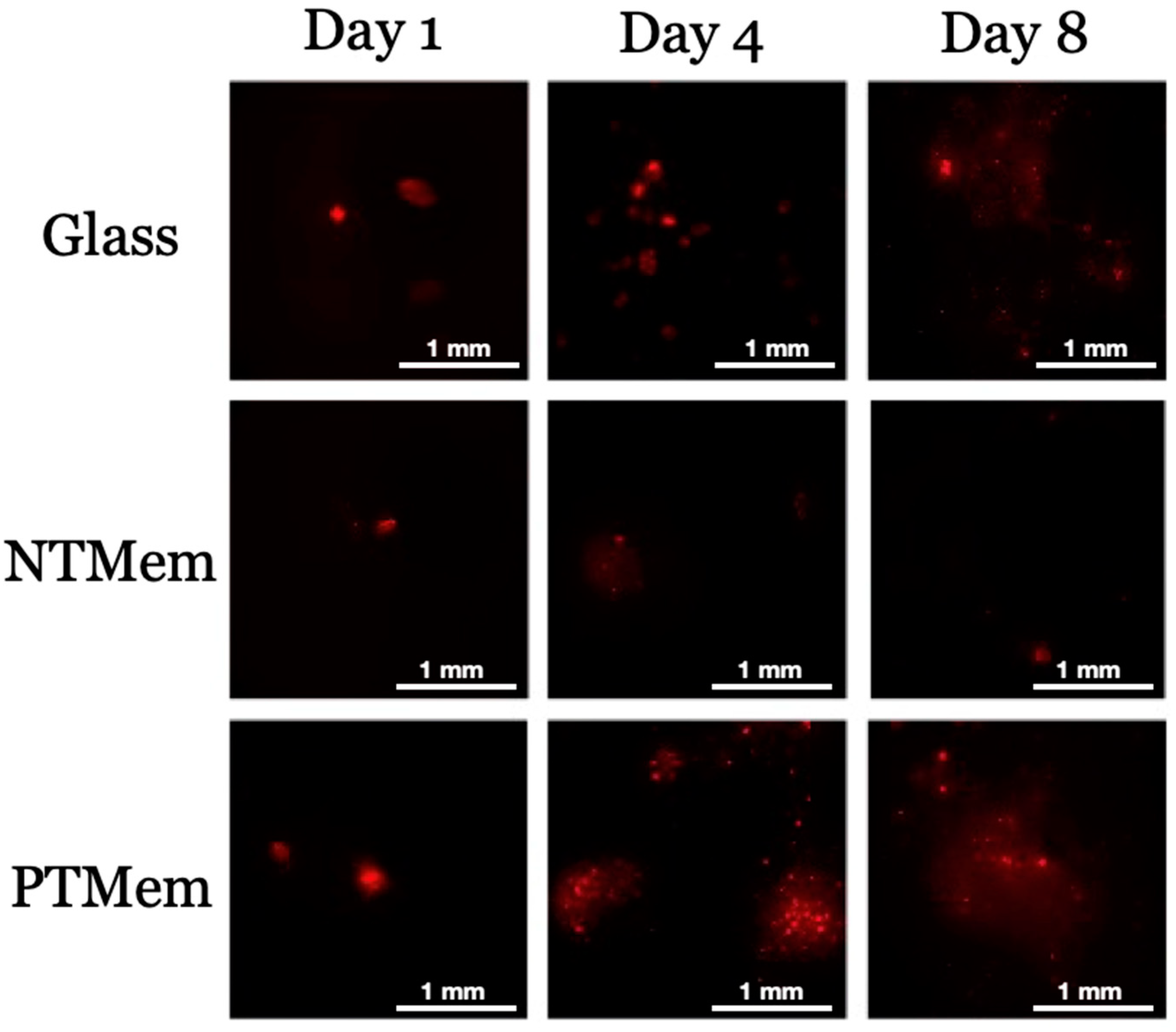 Materials 16 06633 g003