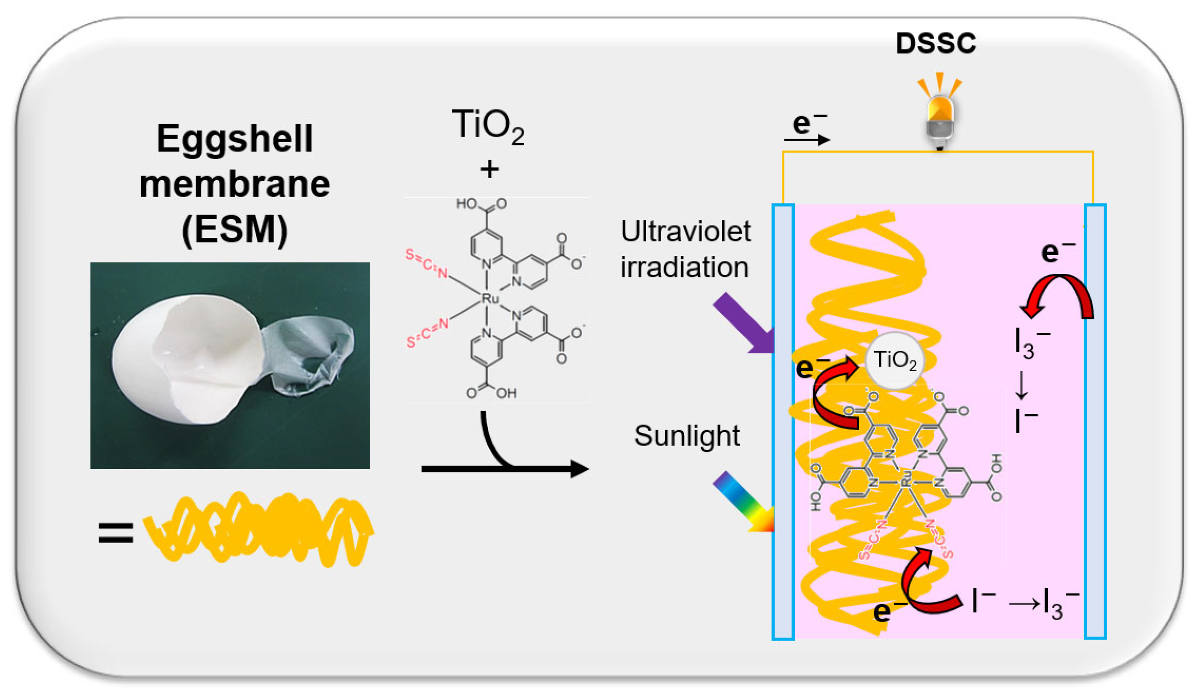 Materials 16 06654 g002