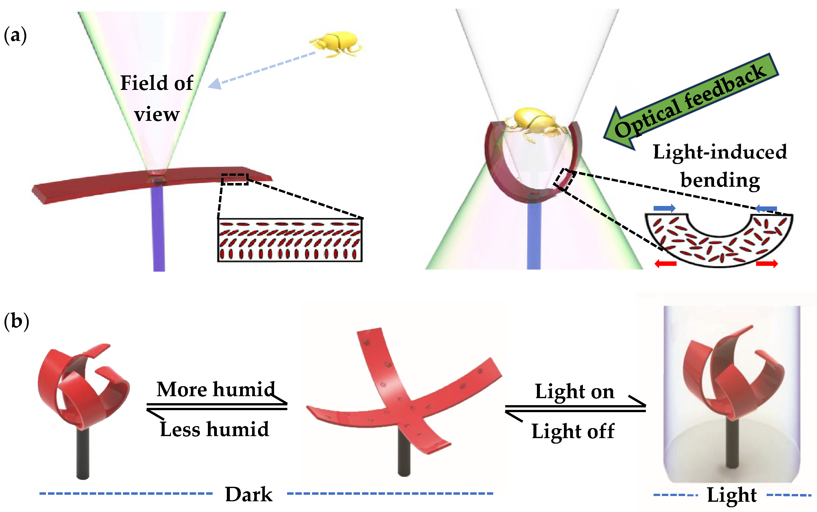 Materials 16 06702 g005