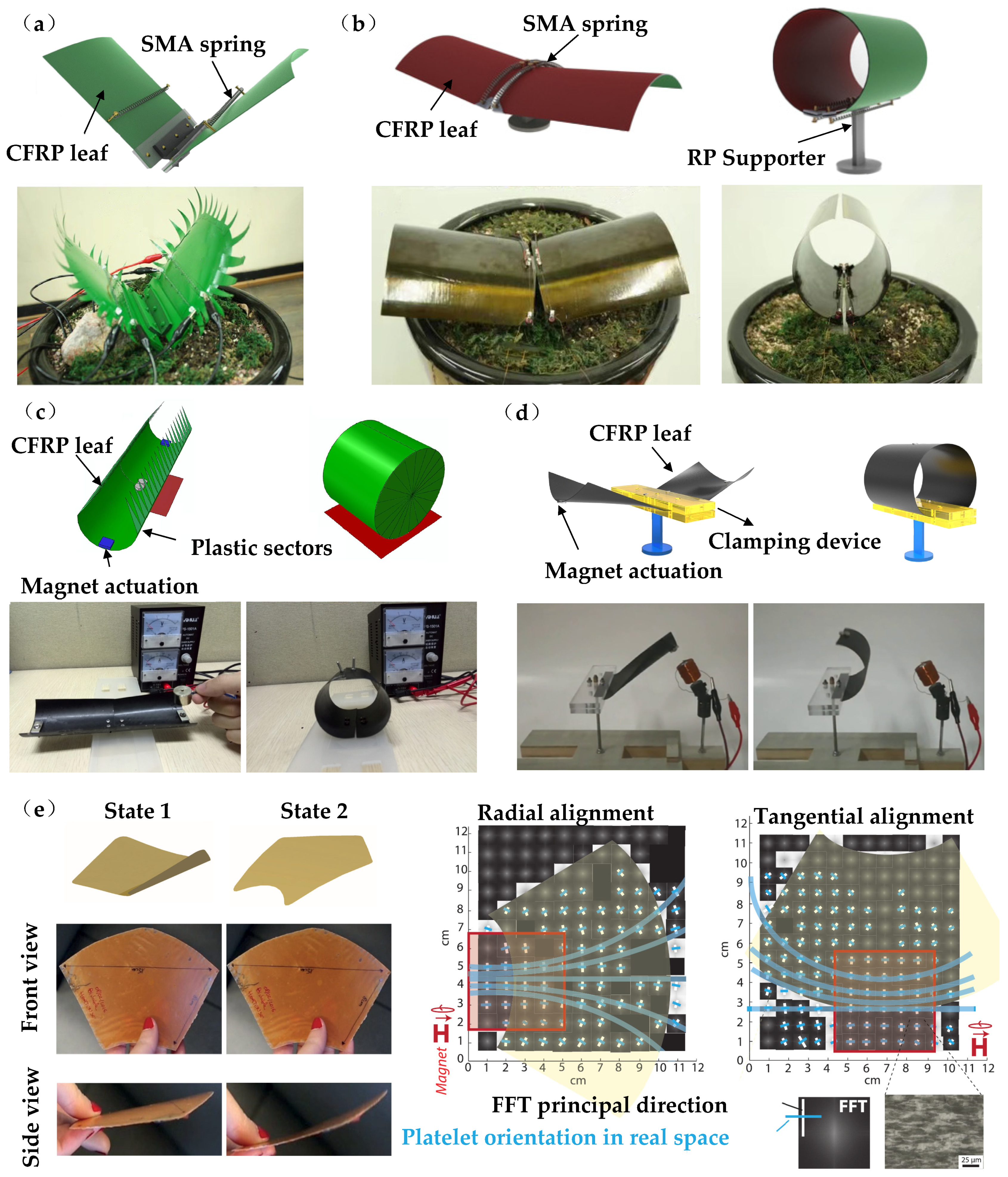 Materials 16 06702 g006