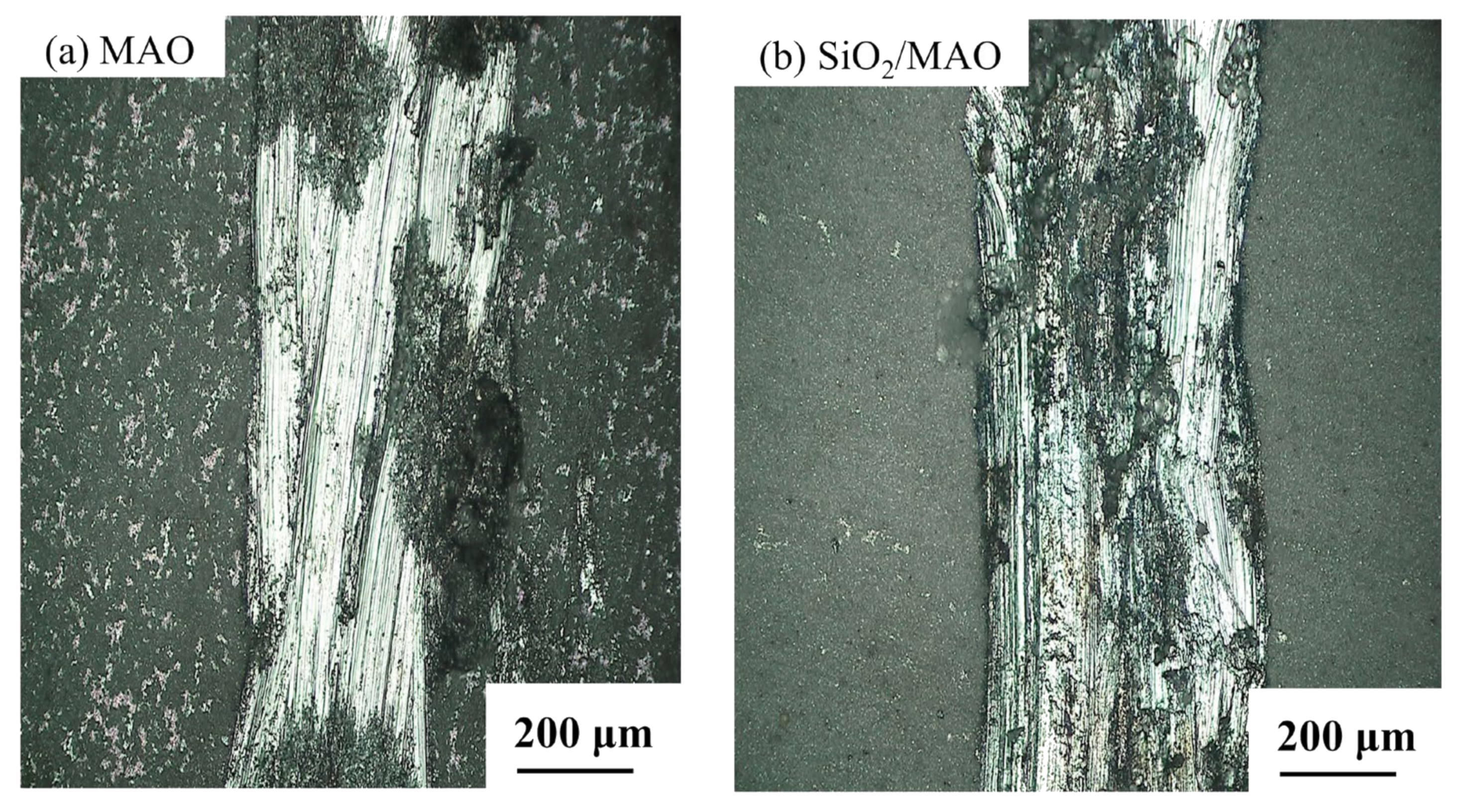 Materials 16 06721 g016