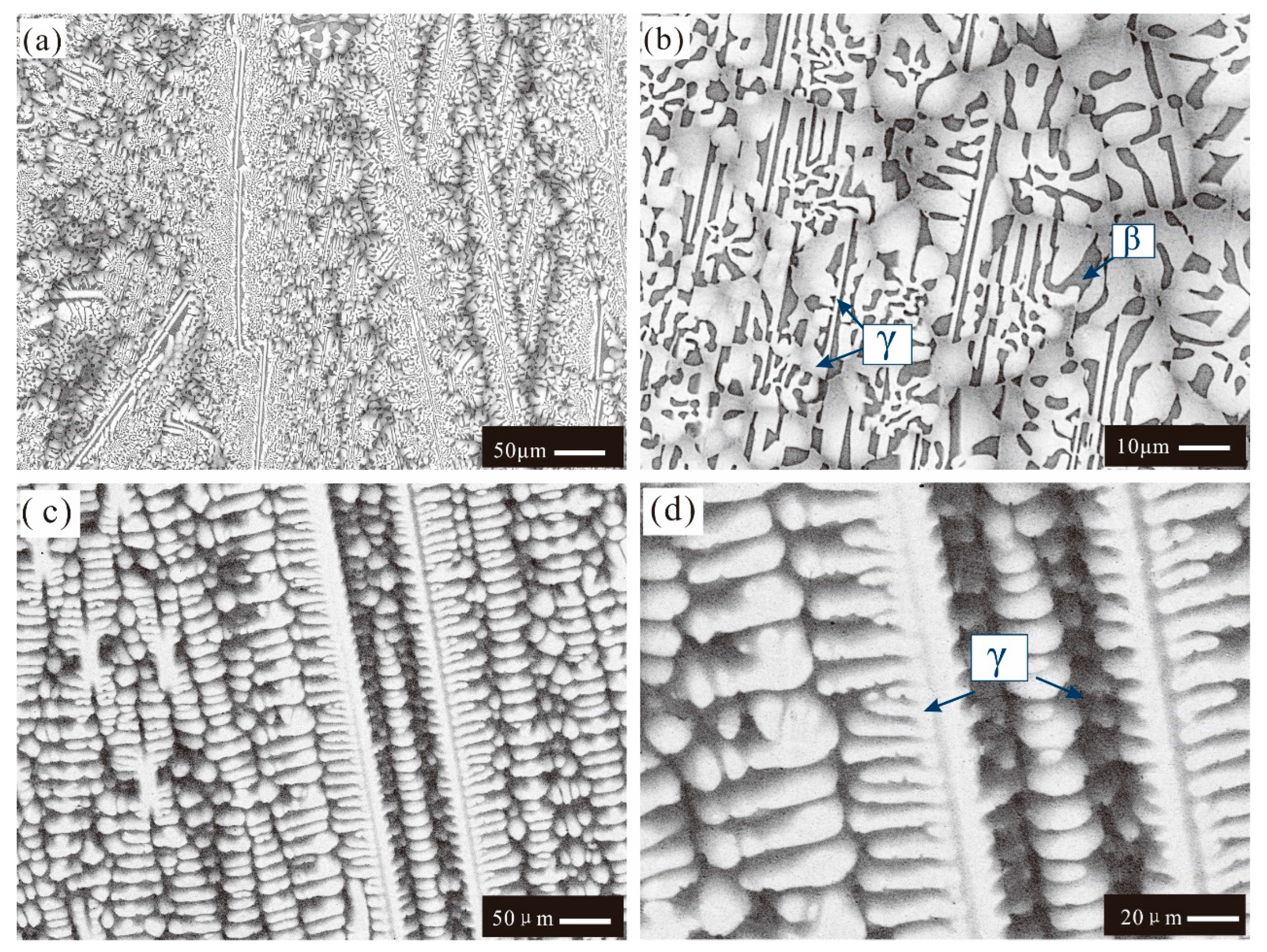 Materials 16 06777 g003