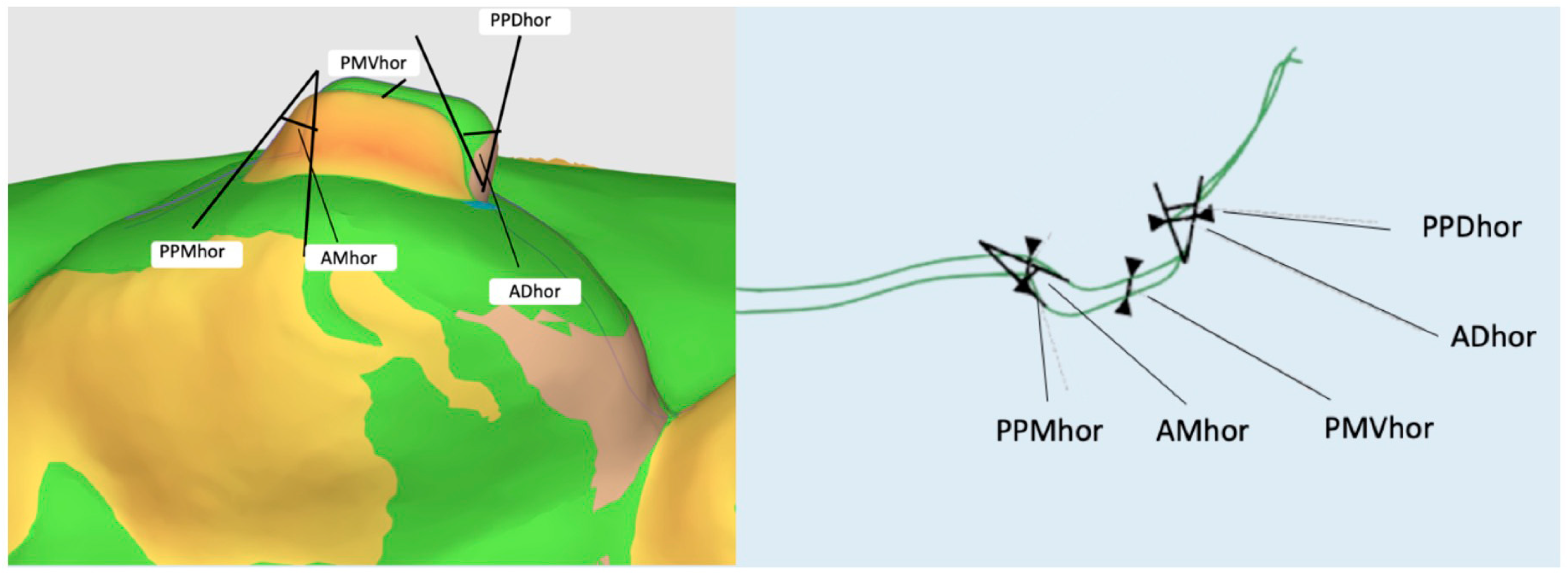 Materials 16 06811 g004