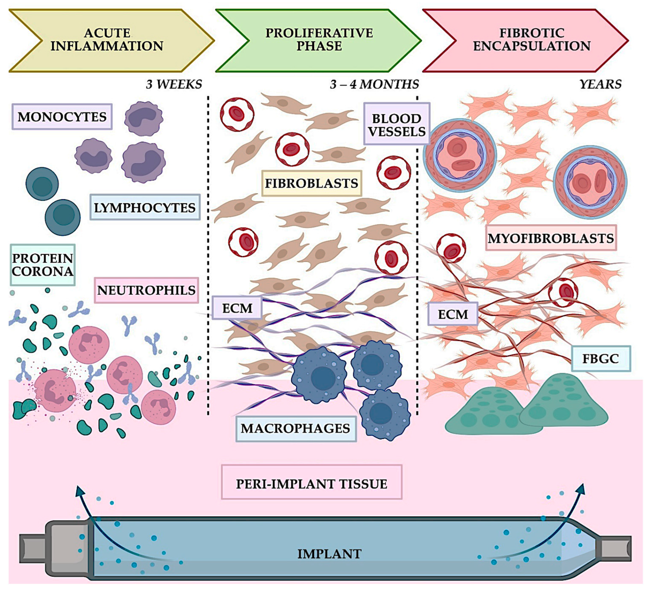 Materials 16 06881 g002