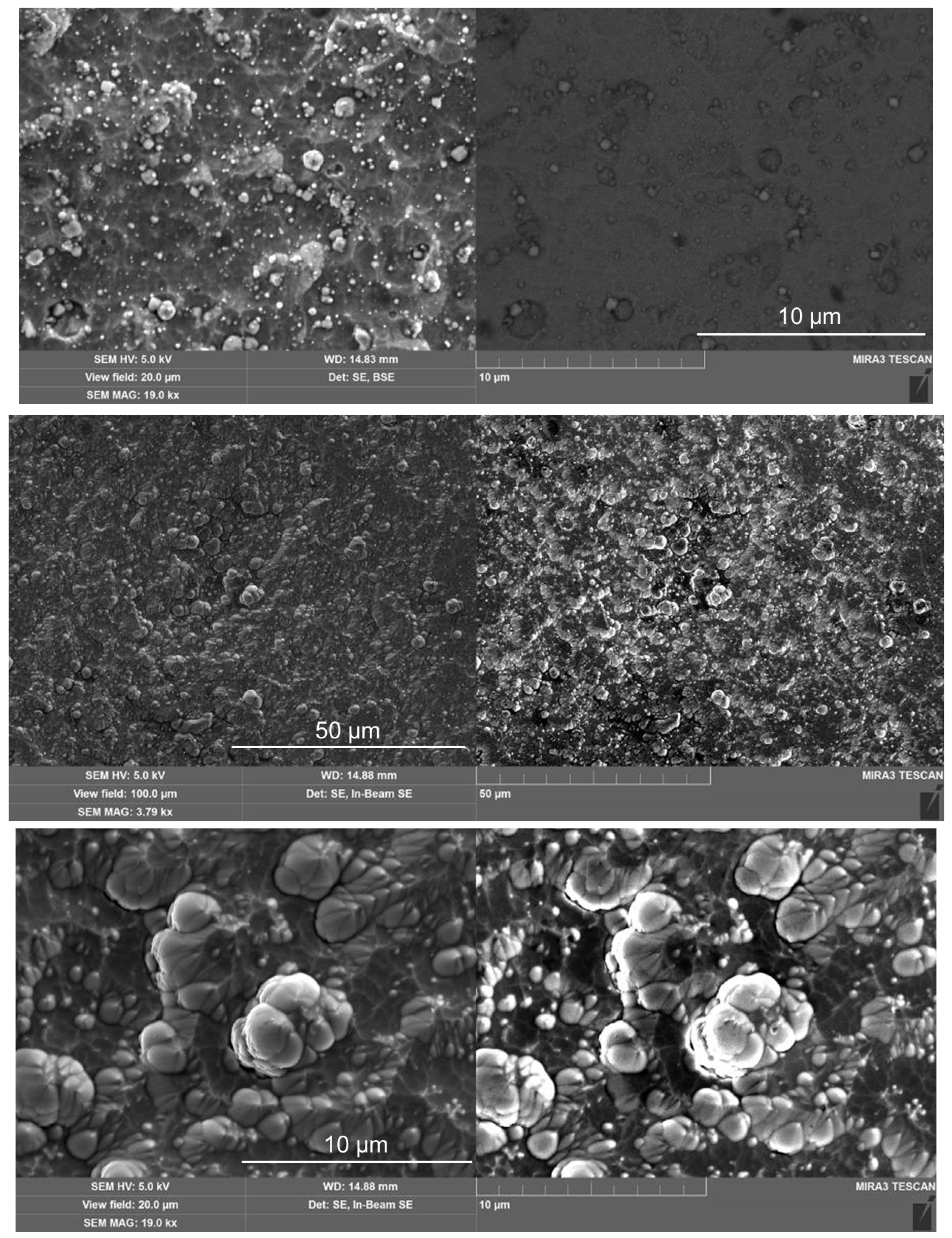 Materials 16 06930 g003b Materials 16 06930 g003b