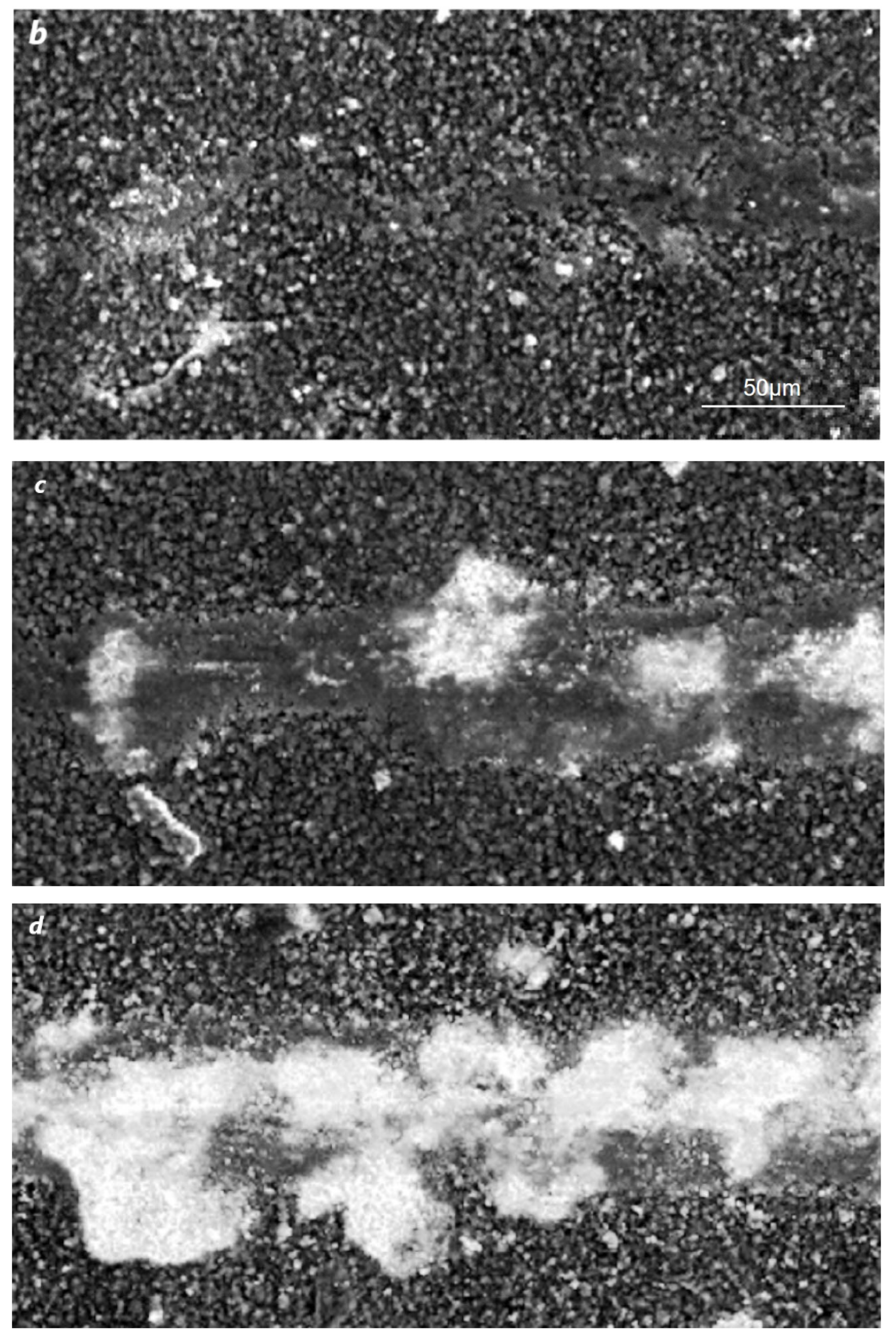 Materials 16 06930 g005b Materials 16 06930 g005b