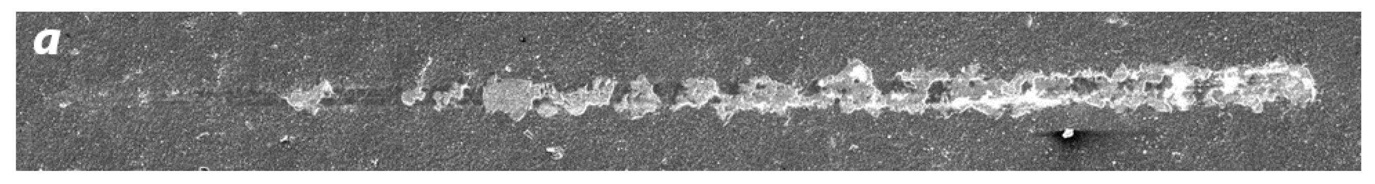 Materials 16 06930 g006a Materials 16 06930 g006a