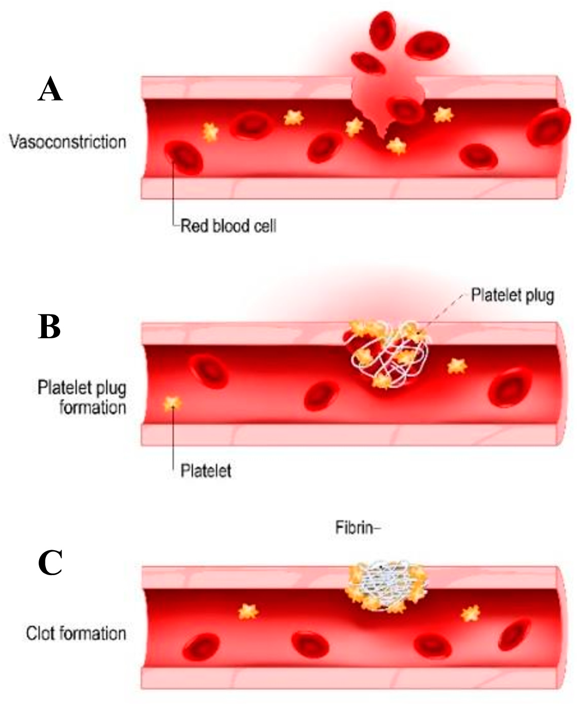 Materials 16 06940 g002 Materials 16 06940 g002