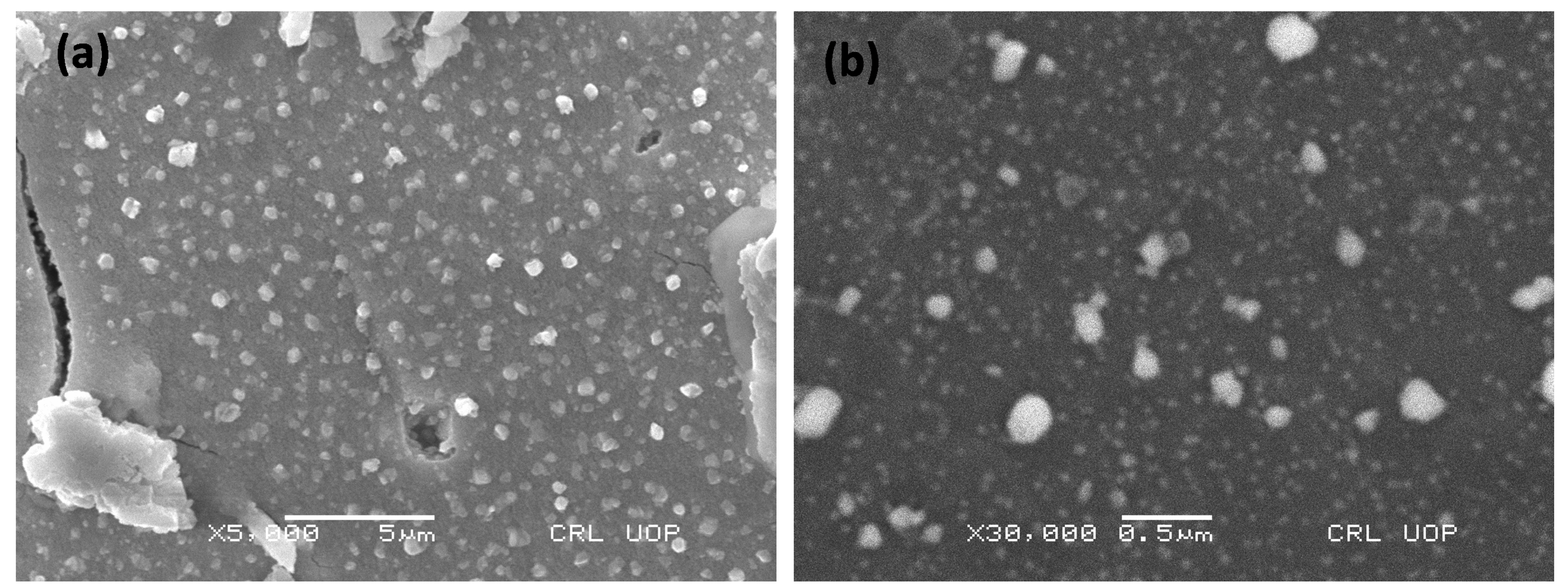 Materials 16 06978 g001