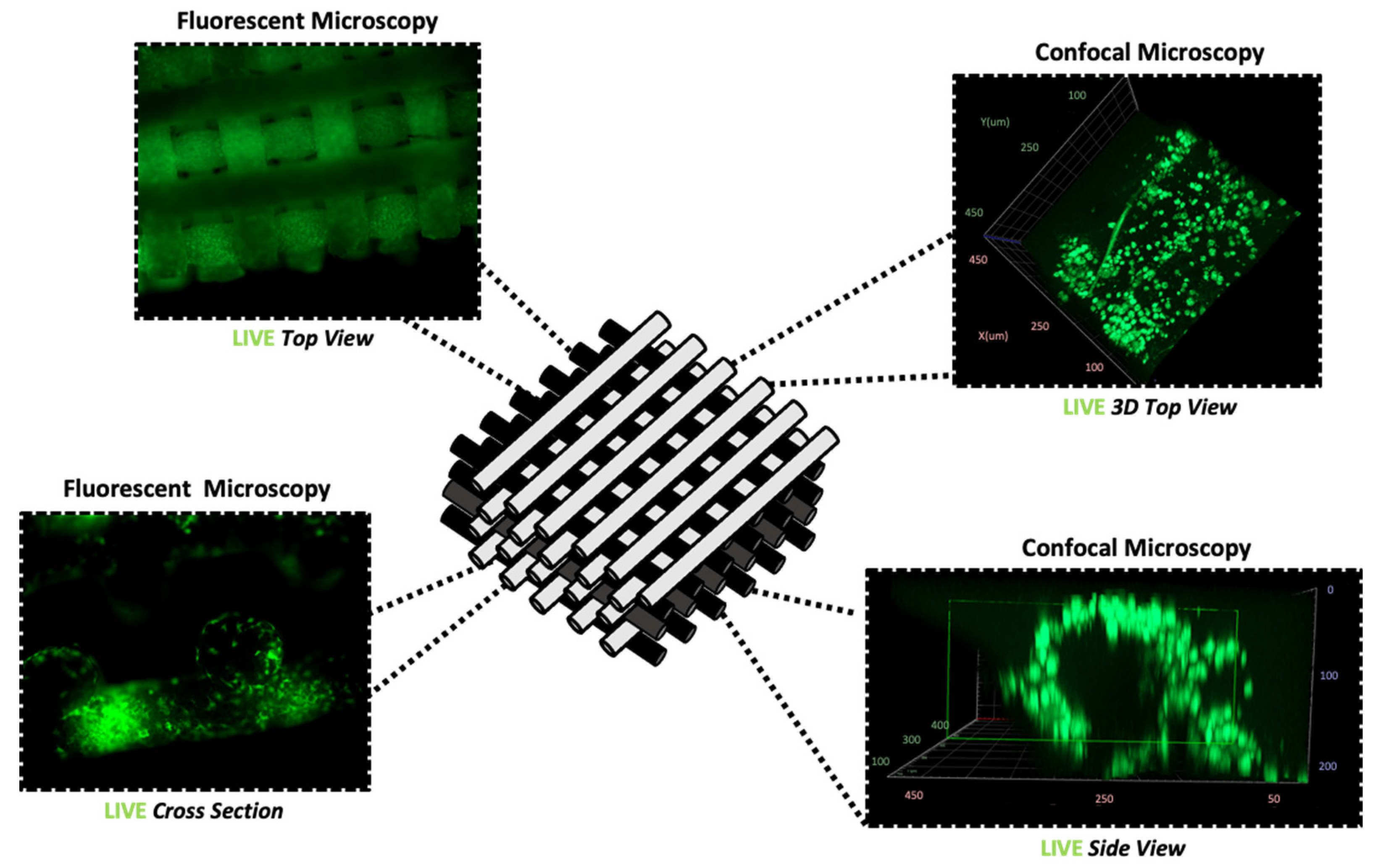 Materials 16 06996 g004