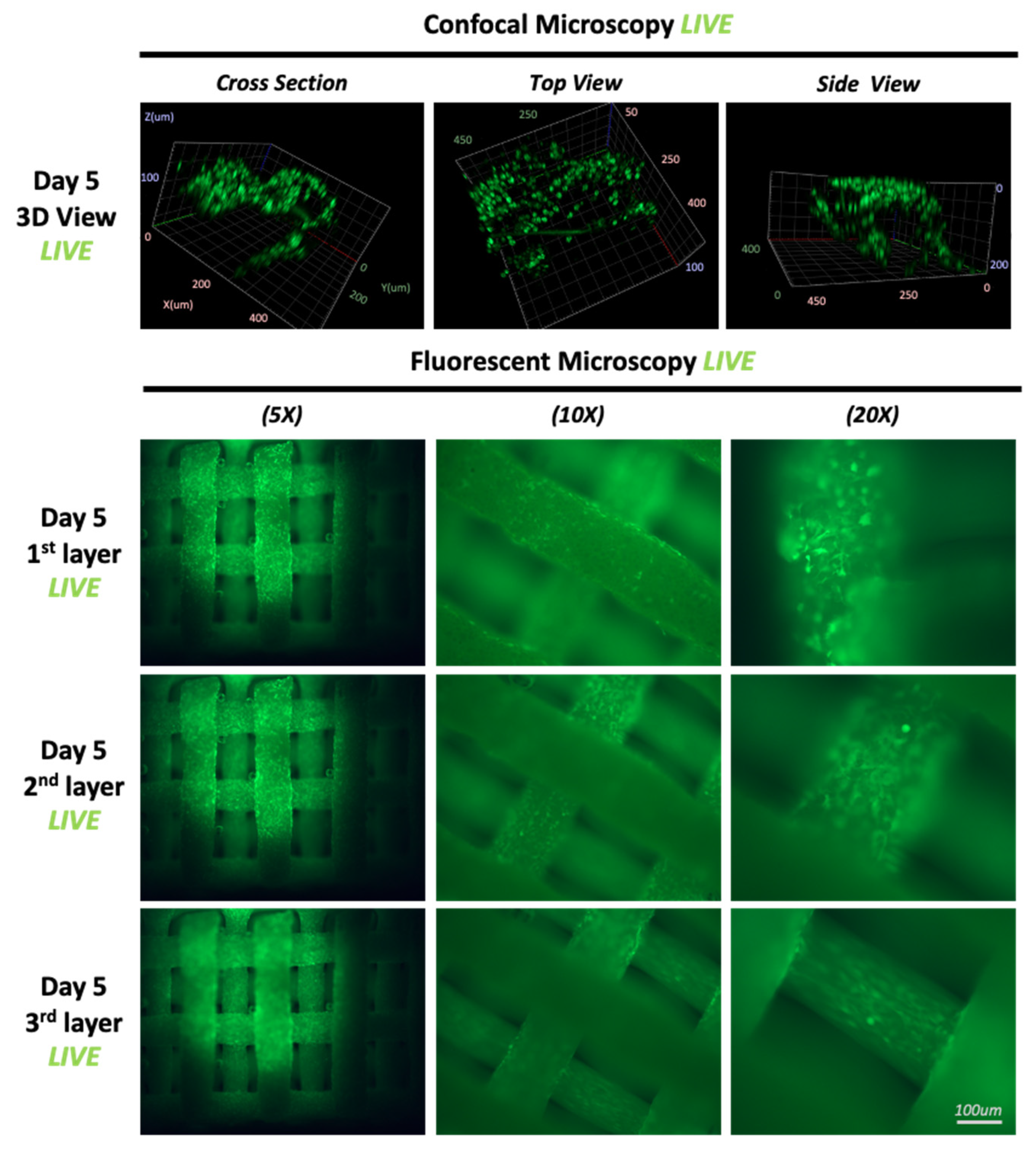 Materials 16 06996 g006