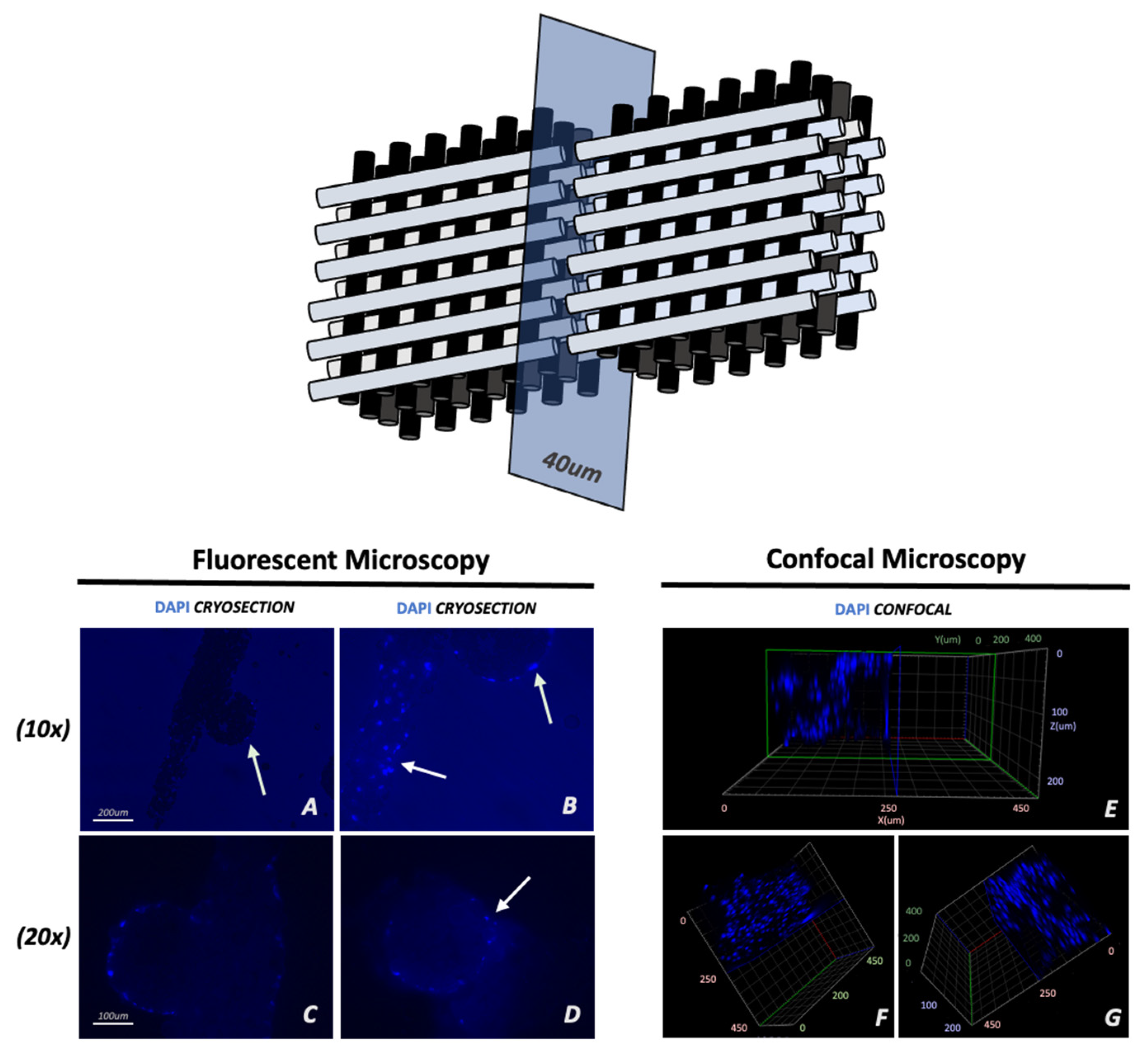 Materials 16 06996 g007