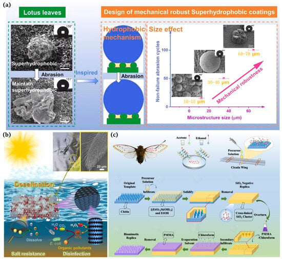 Eco-Friendly Fabrication of Transparent Superhydrophobic Coating with  Excellent Mechanical Robustness, Chemical Stability, and Long-Term Outdoor  Durability