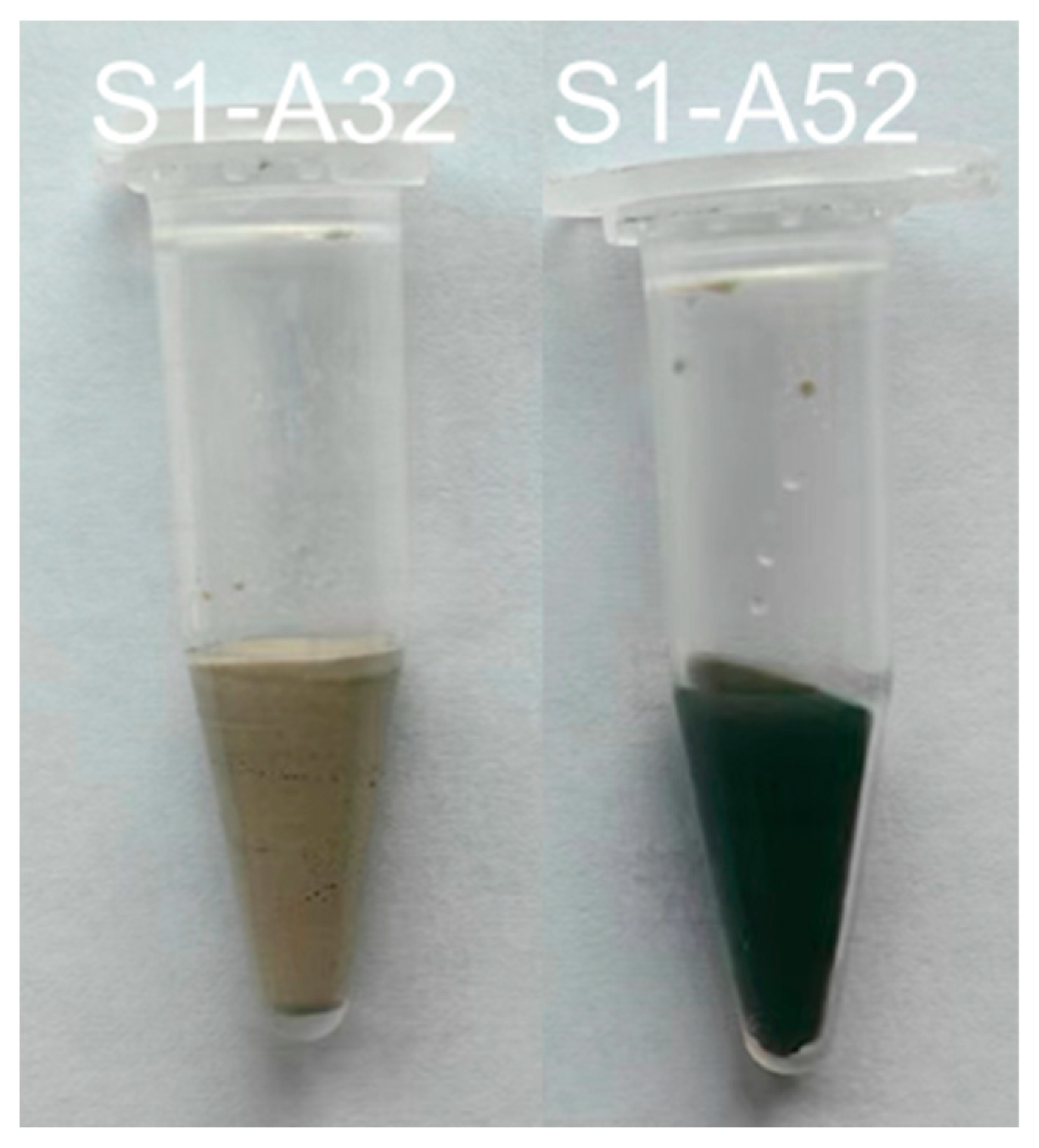 Materials 16 07032 g007