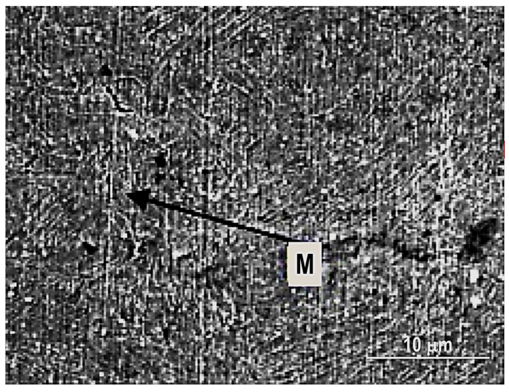 Materials 16 07054 g018 Materials 16 07054 g018
