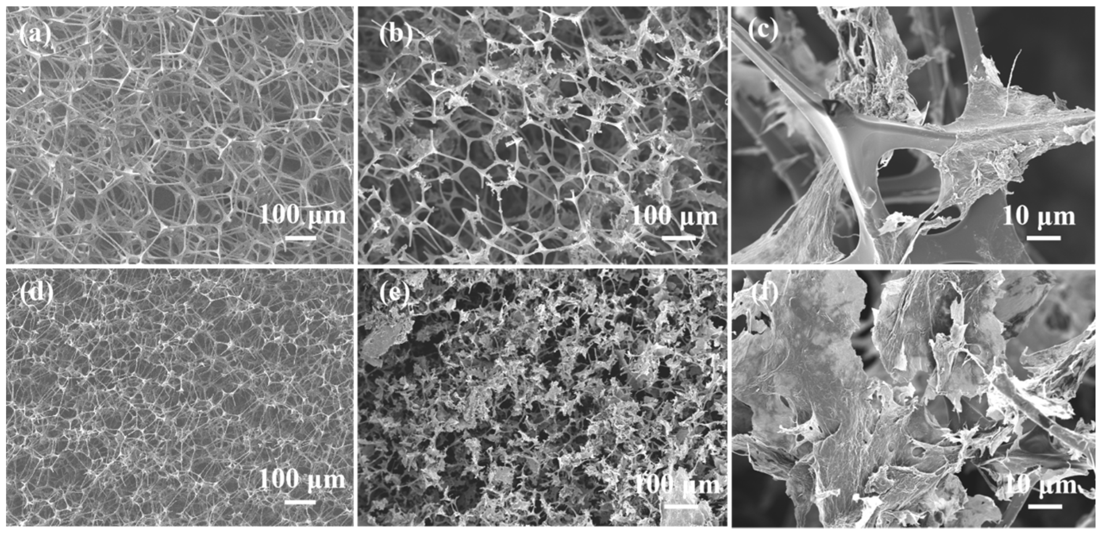 Materials 16 07067 g003