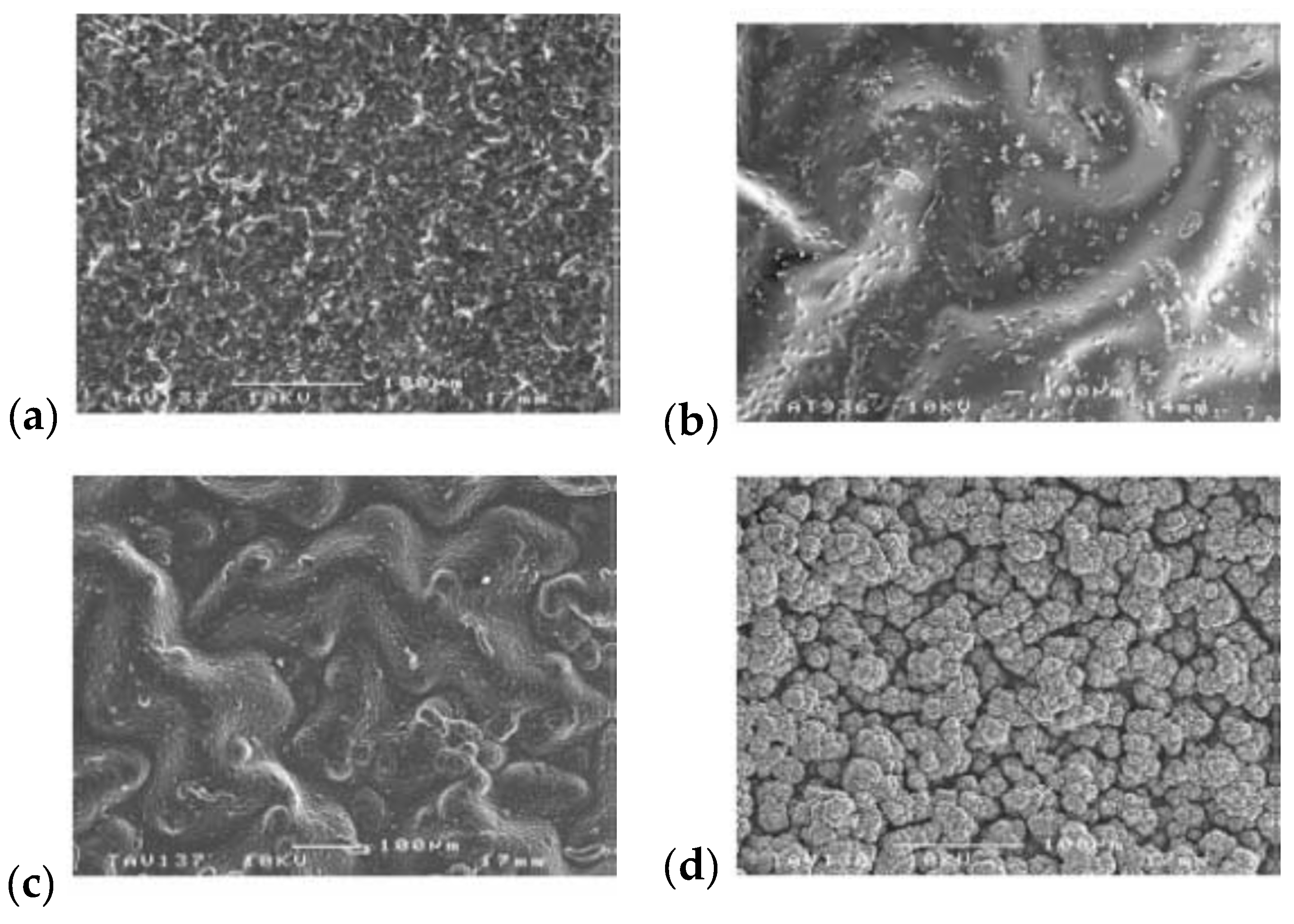 Materials 16 07069 g006 Materials 16 07069 g006