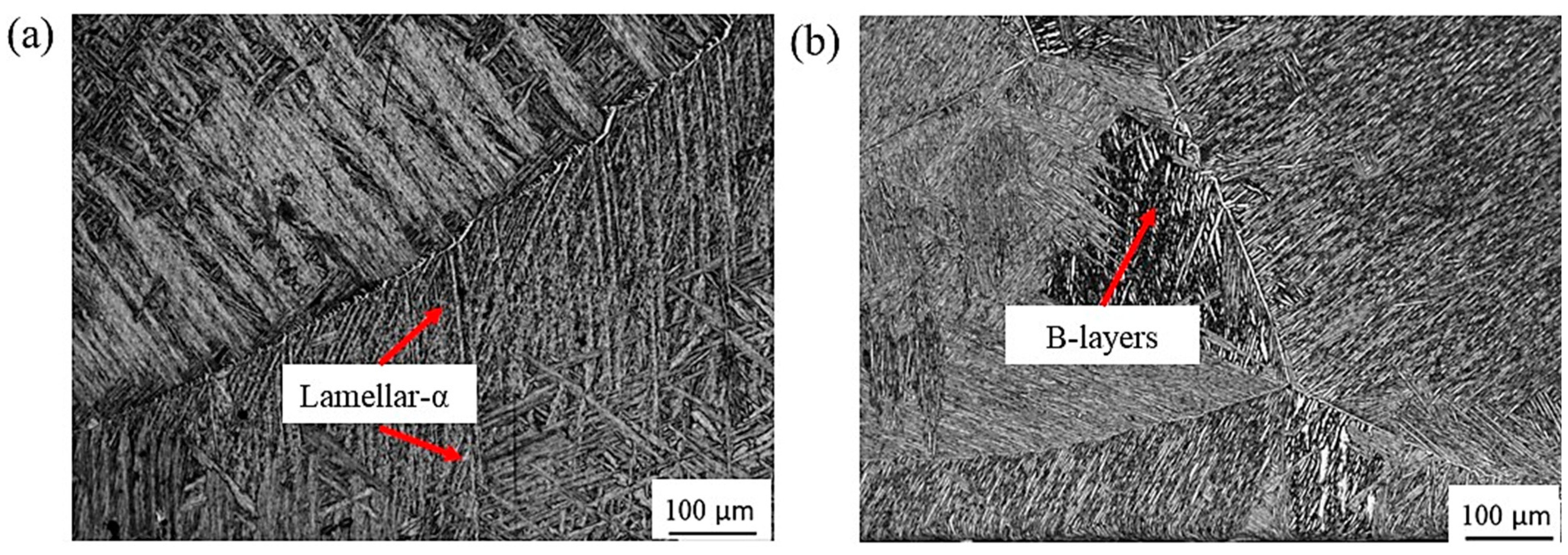 Materials 16 07157 g008