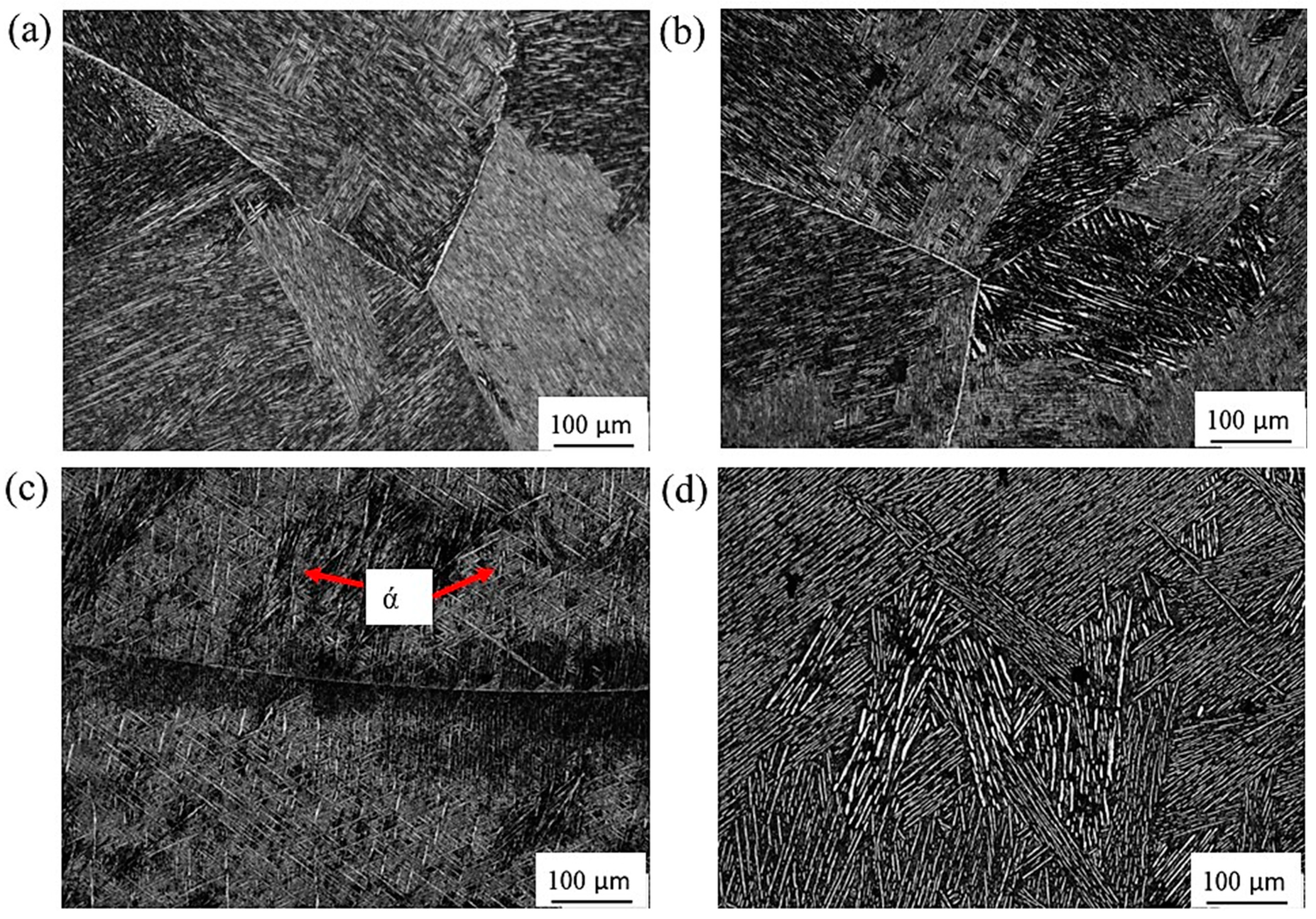 Materials 16 07157 g010