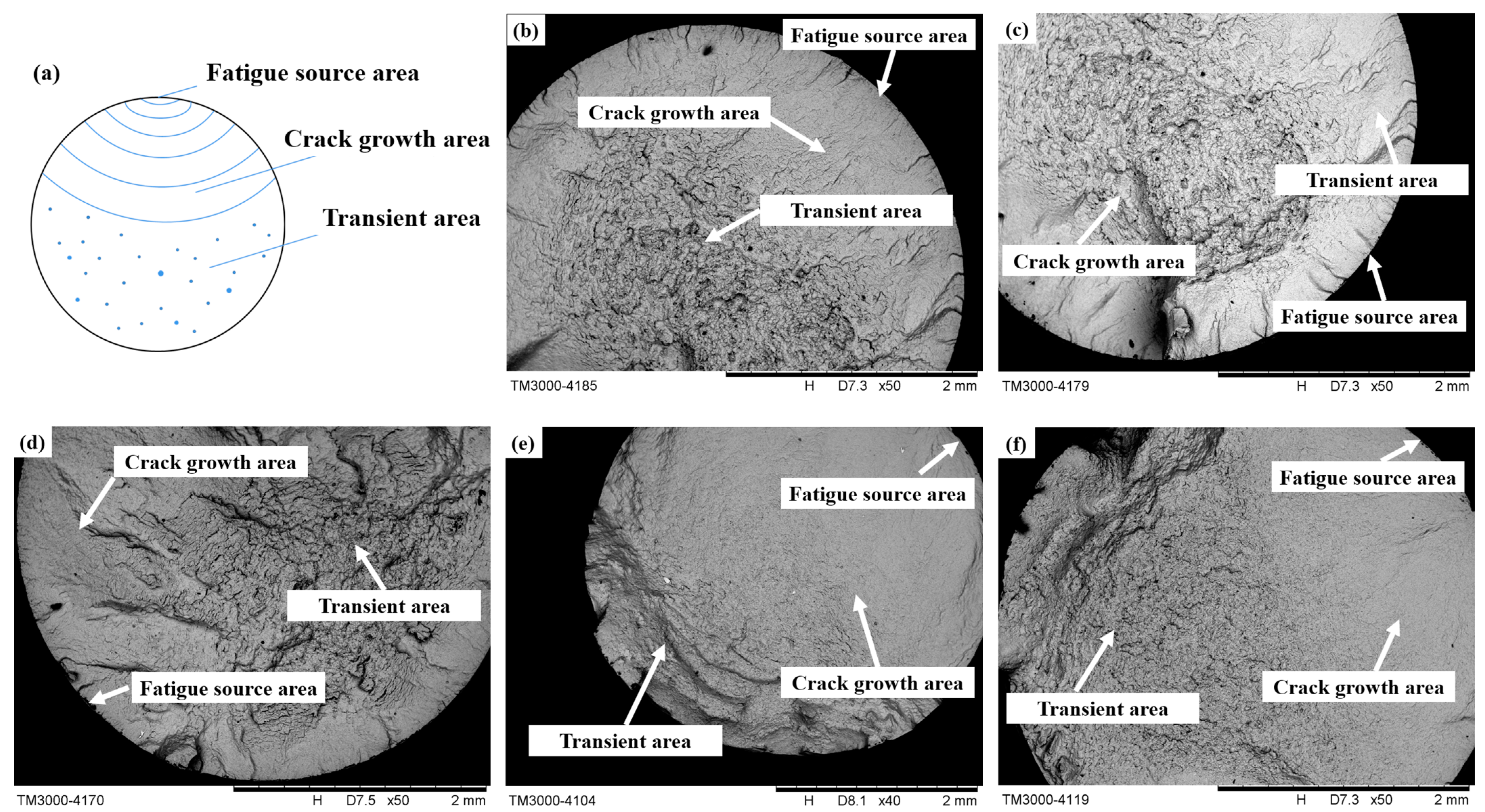 Materials 16 07180 g013