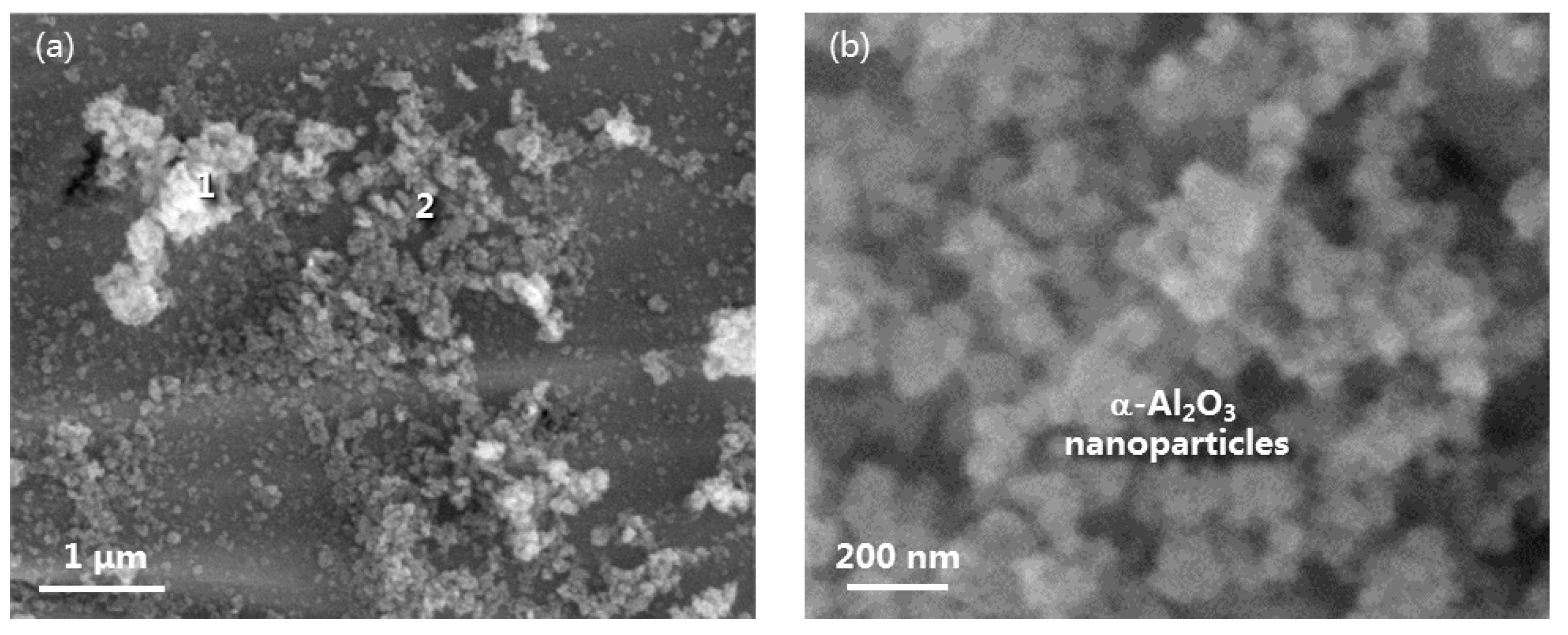 Materials 16 07205 g006