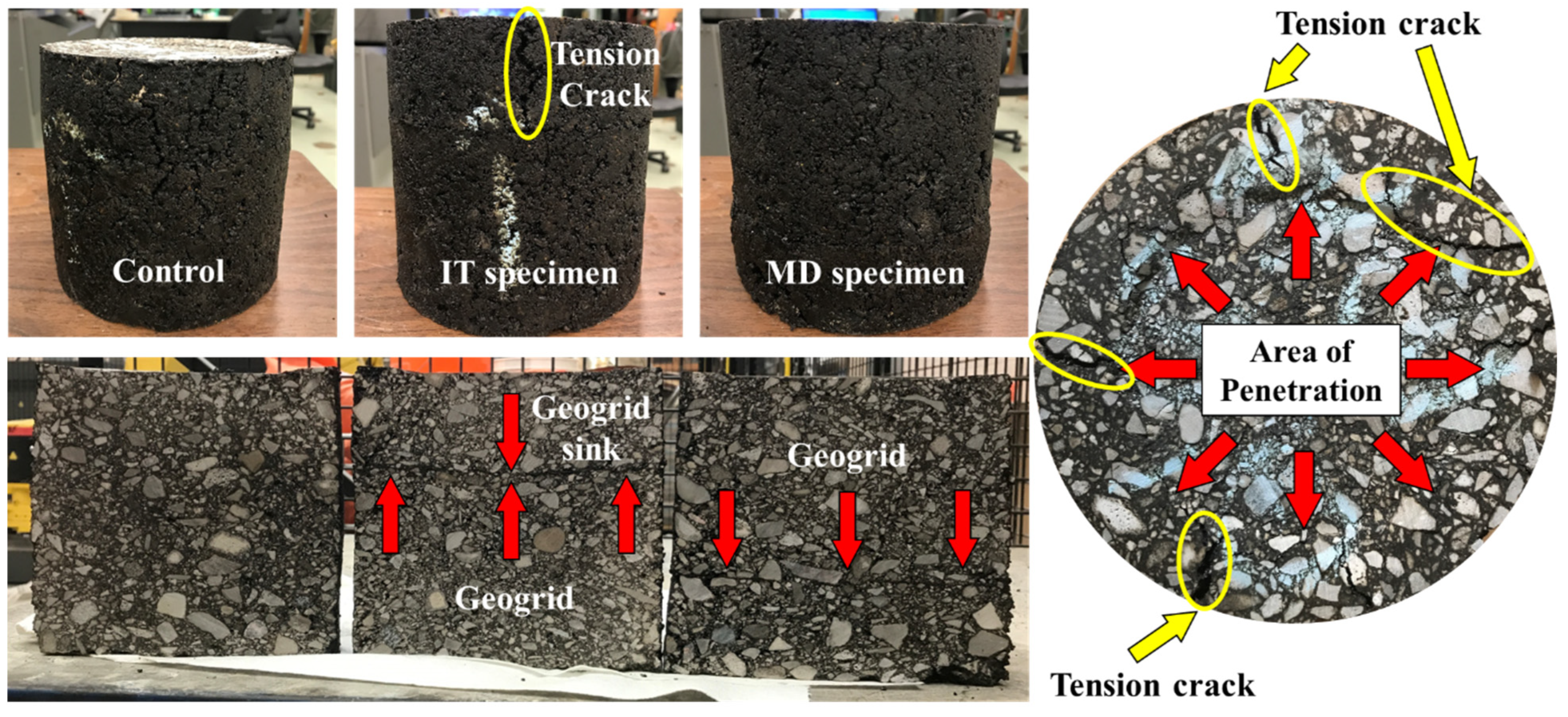 Materials 16 07221 g007