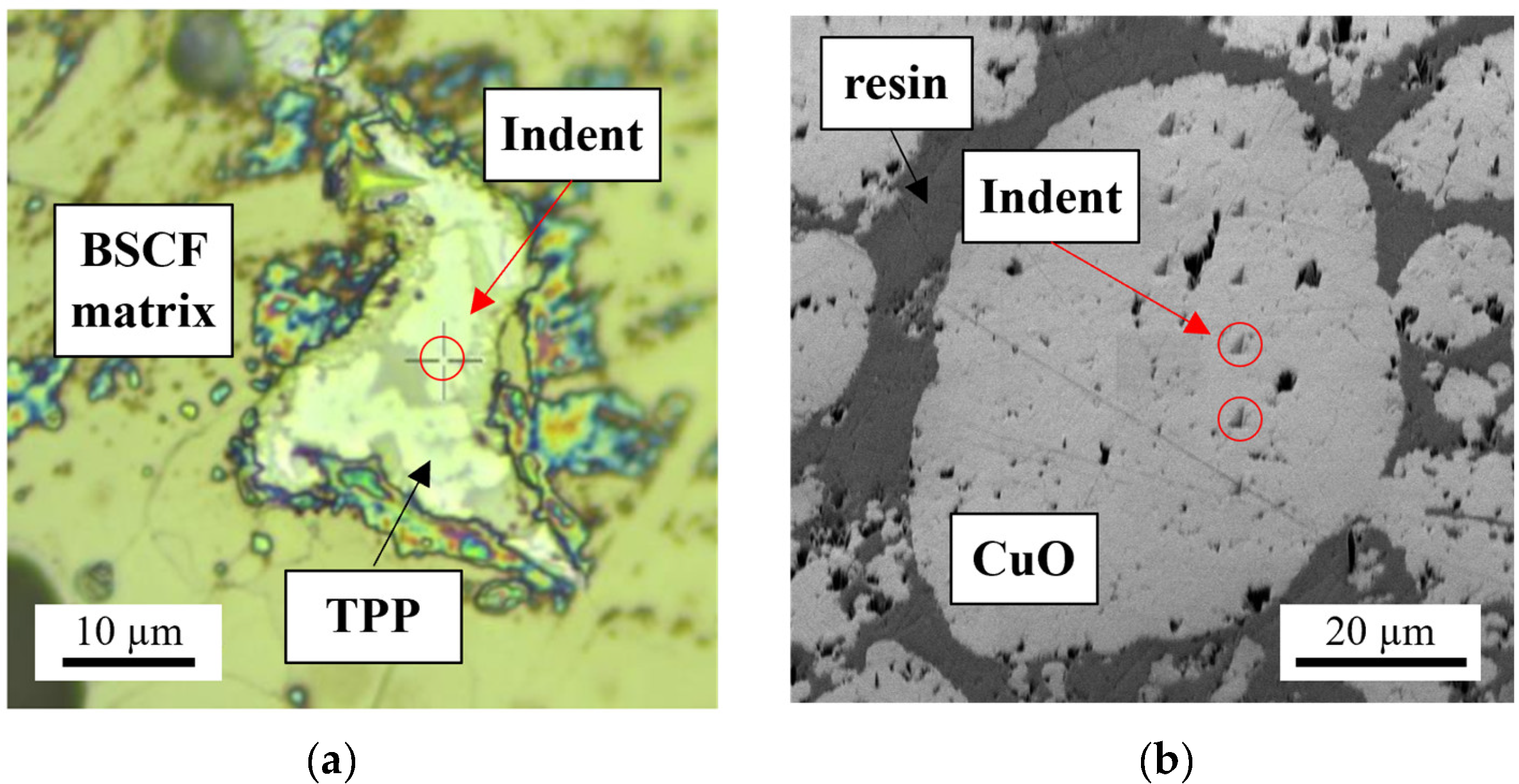 Materials 16 07265 g002