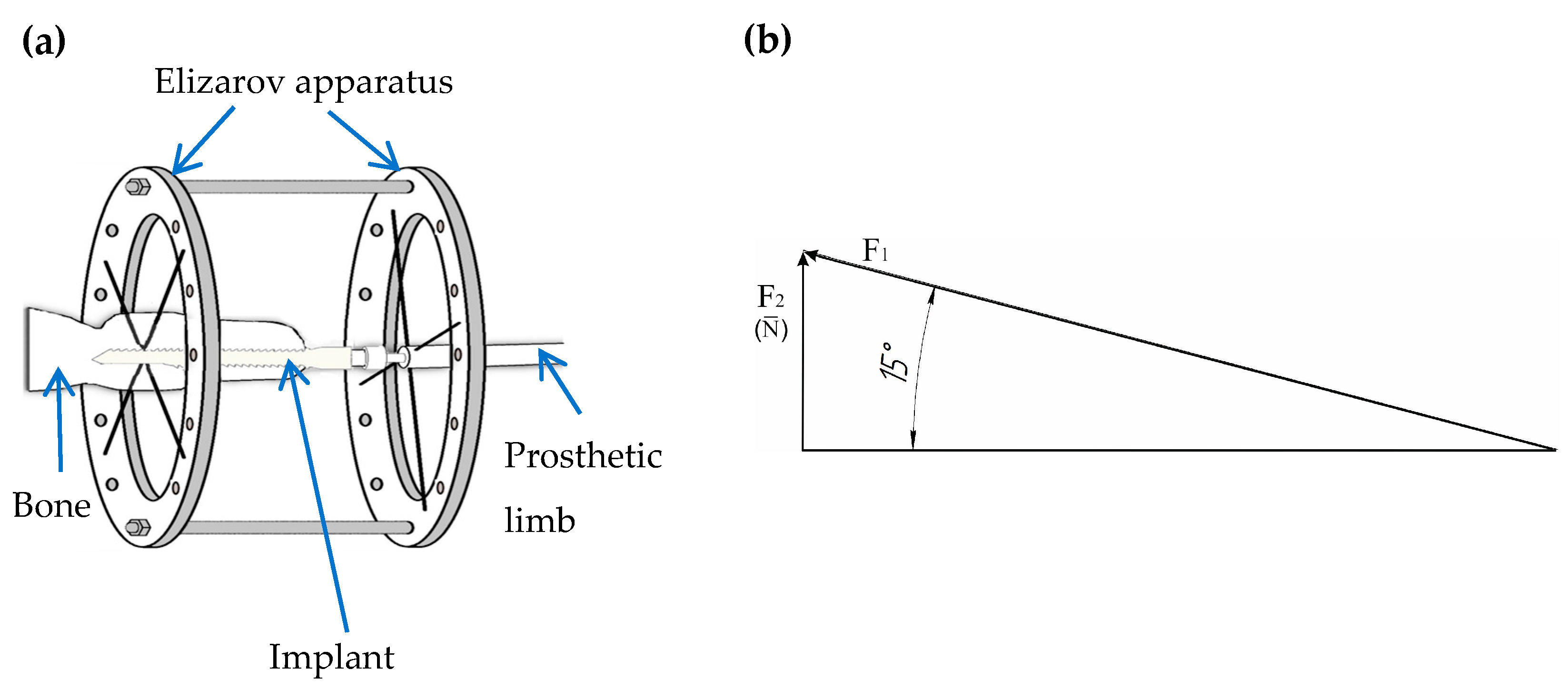 Materials 16 07315 g001