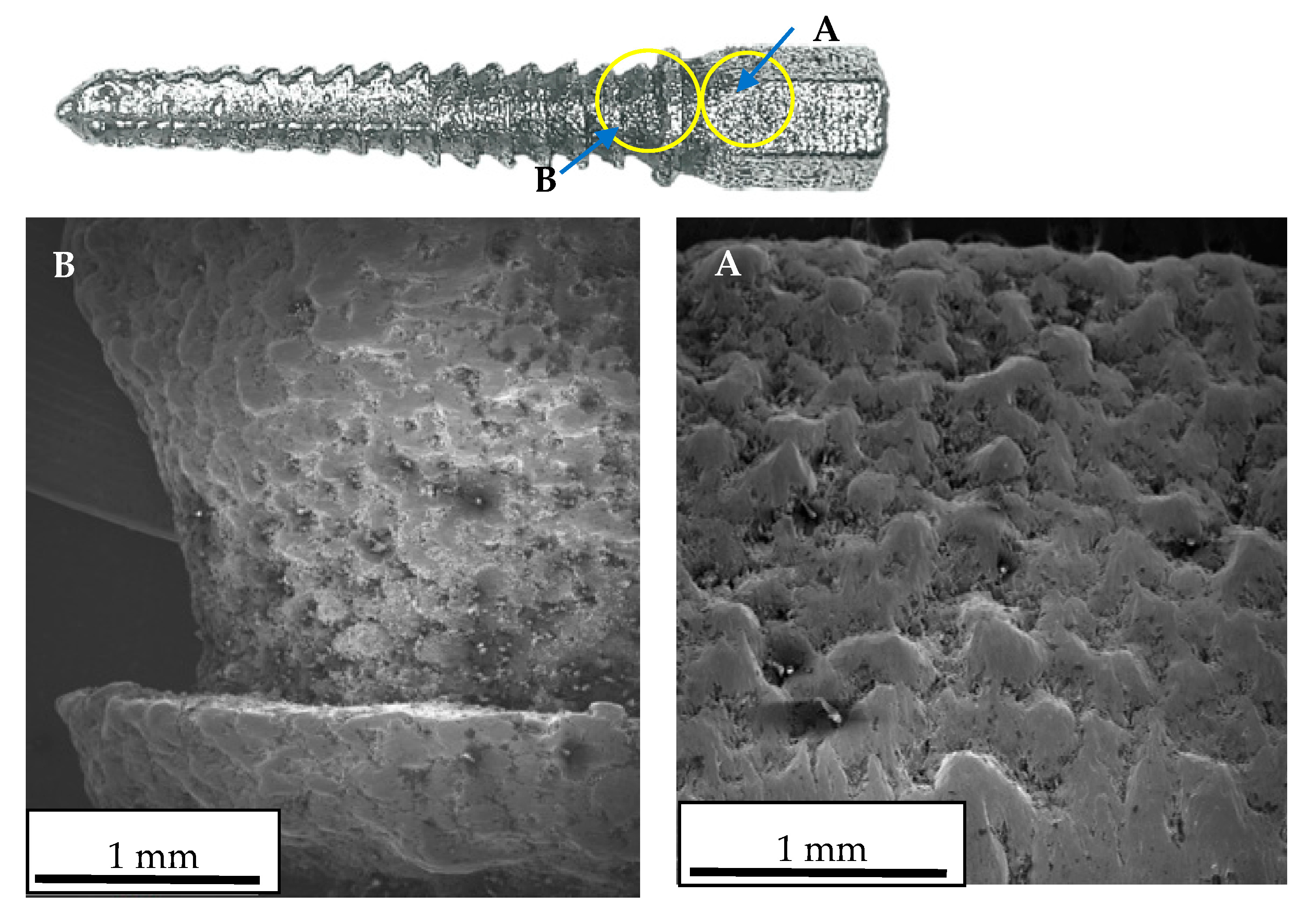 Materials 16 07315 g010