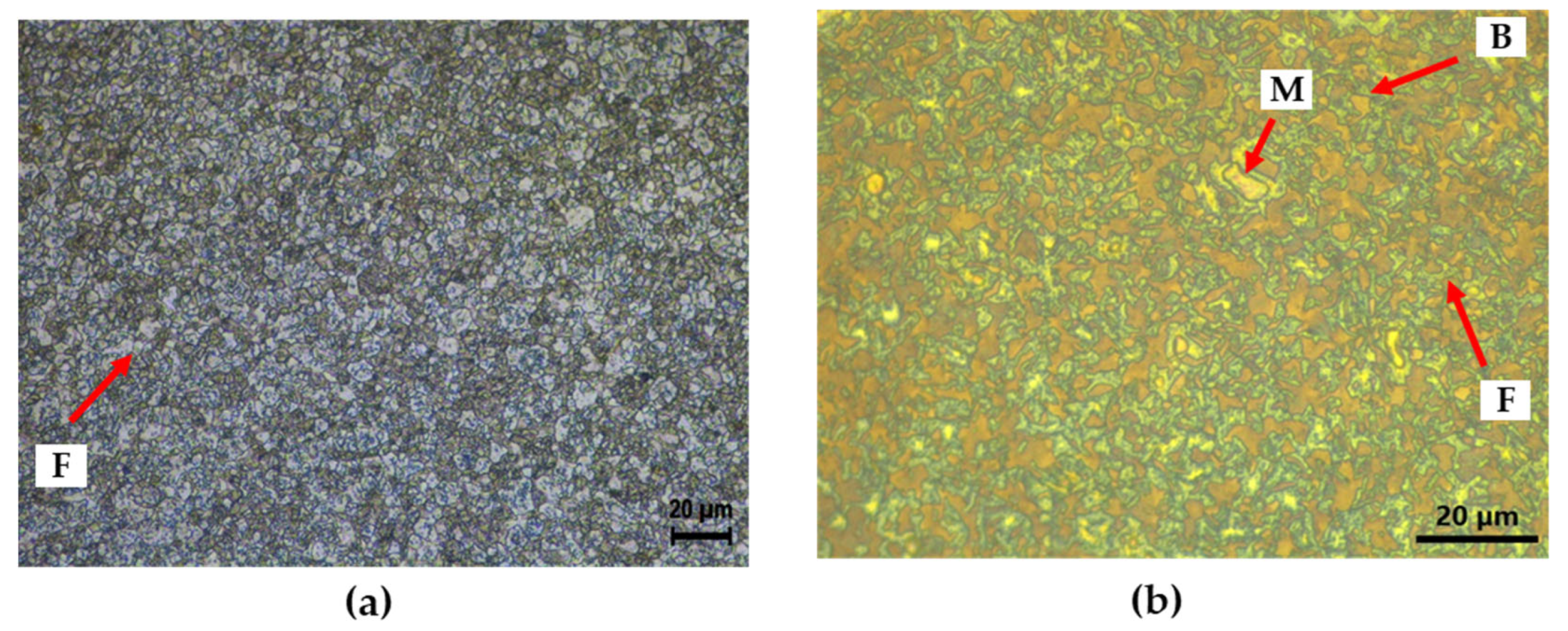 Materials 16 07329 g002