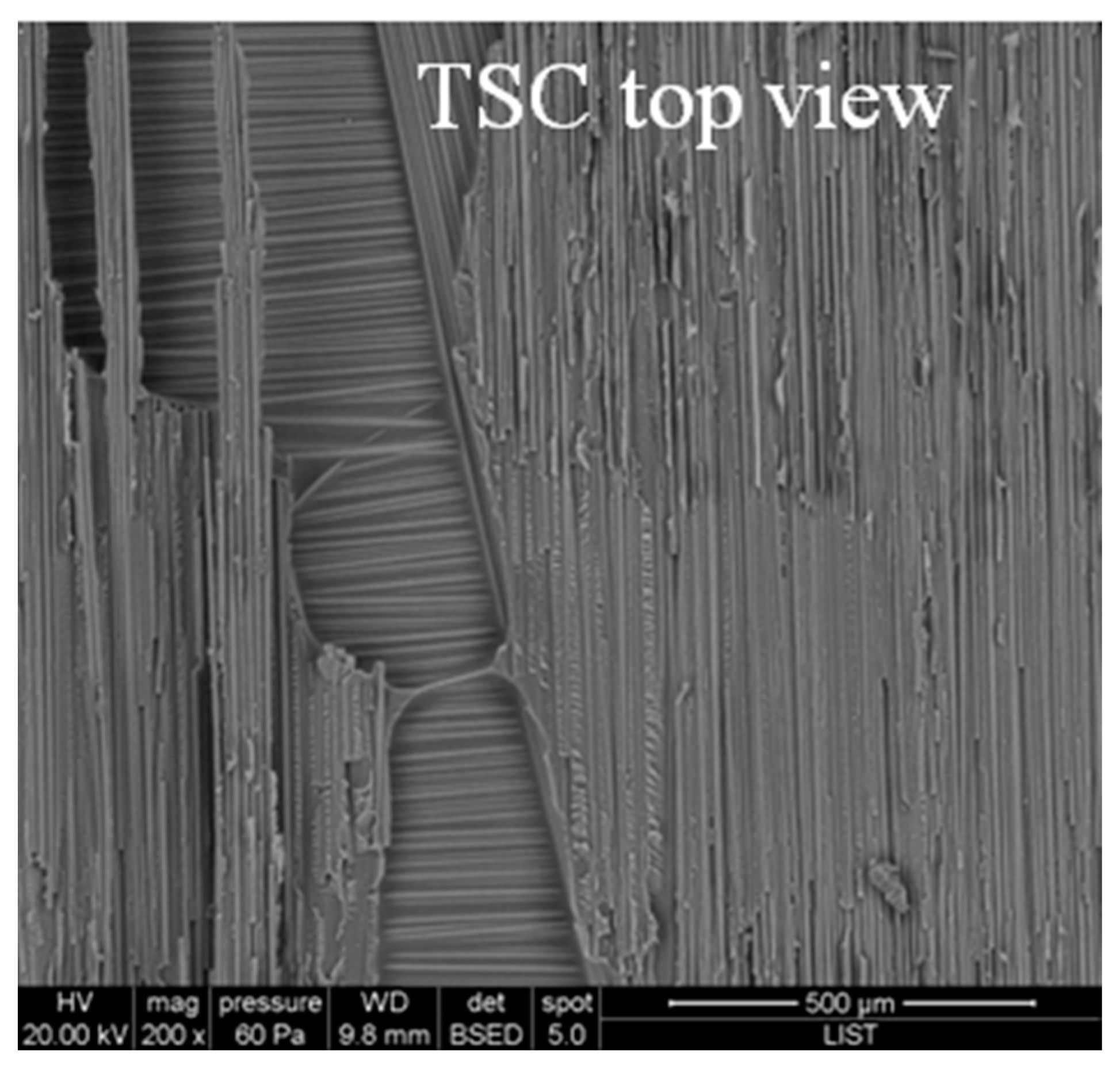 Materials 16 07340 g005 Materials 16 07340 g005