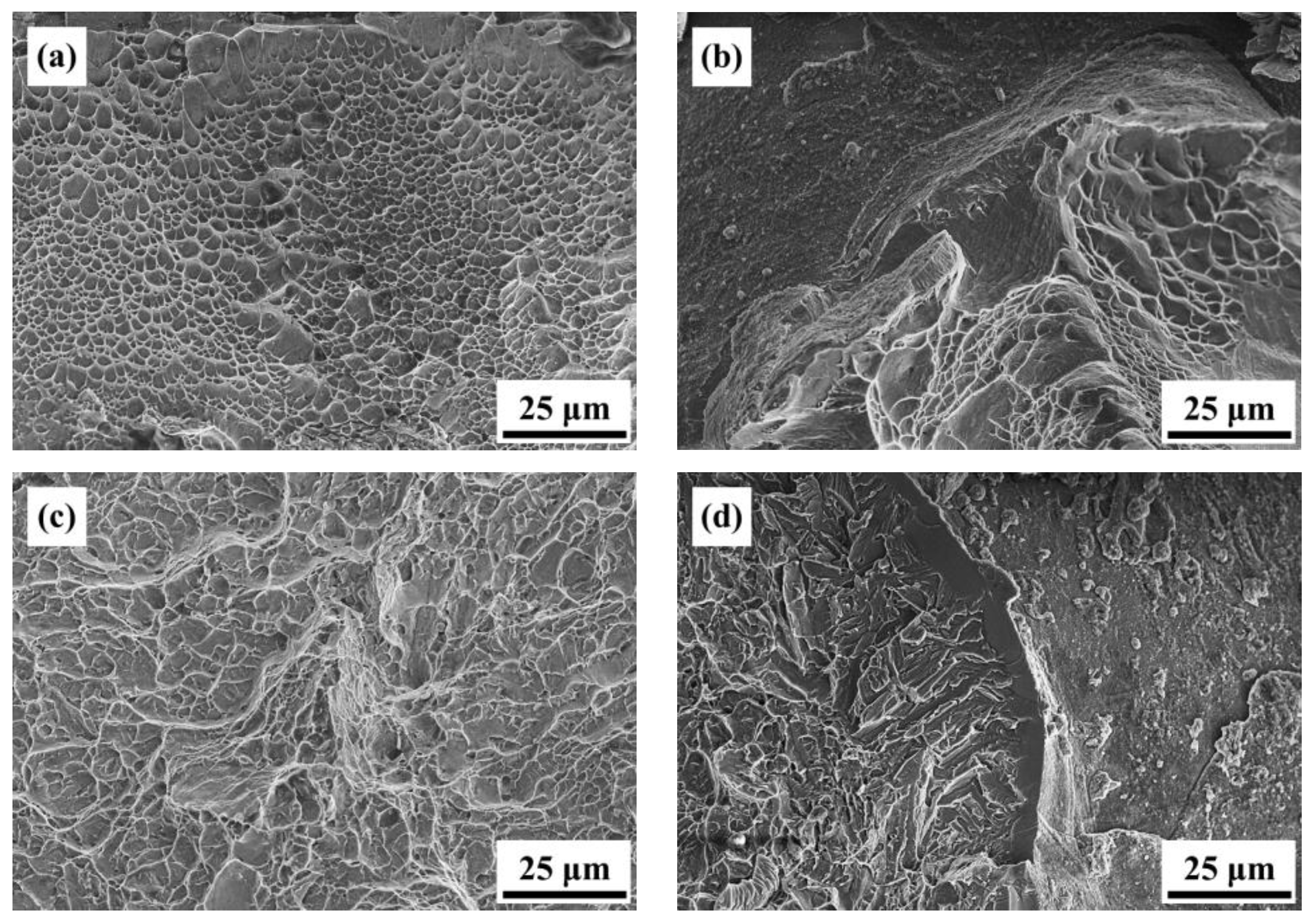 Materials 16 07341 g014