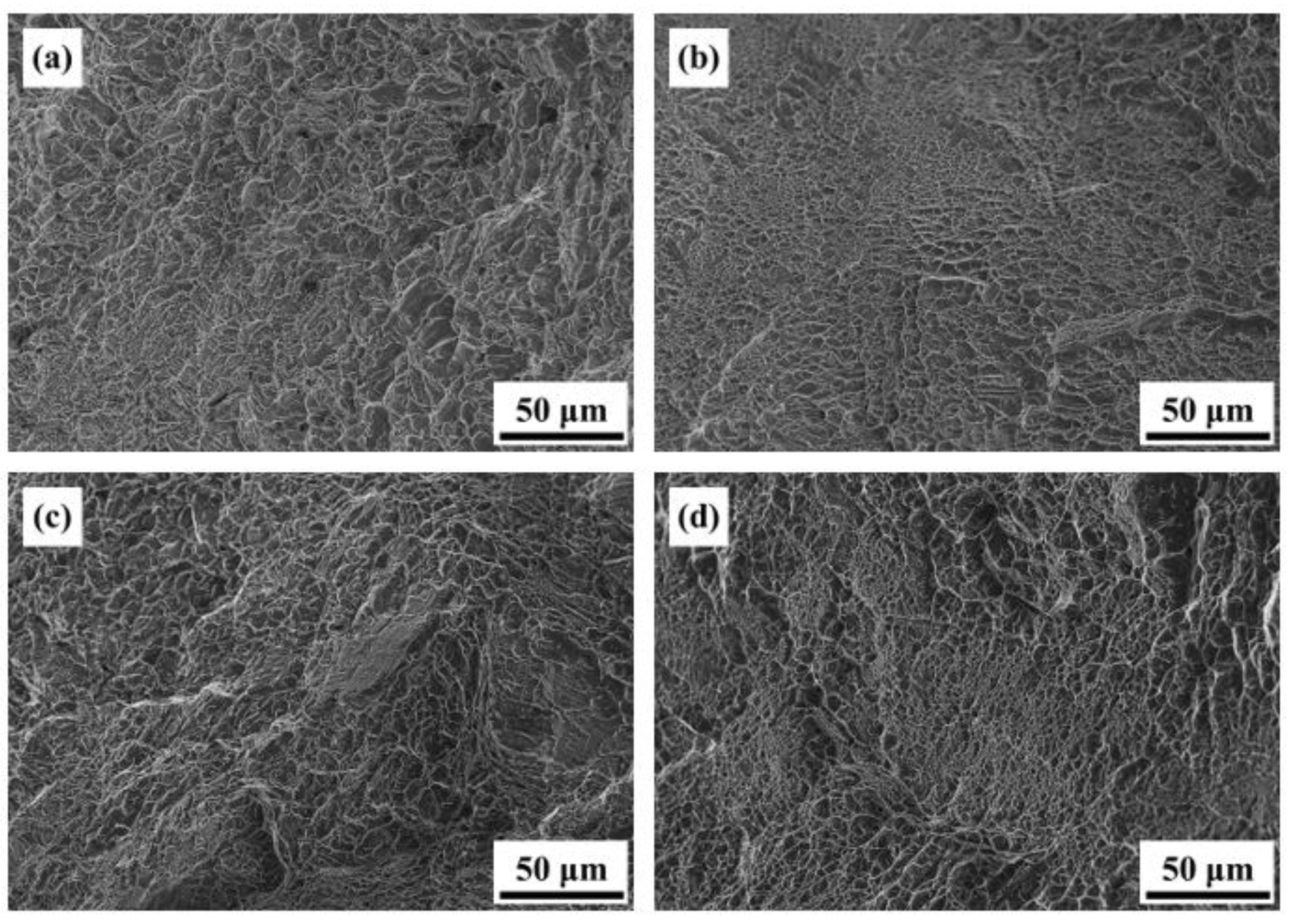 Materials 16 07341 g016