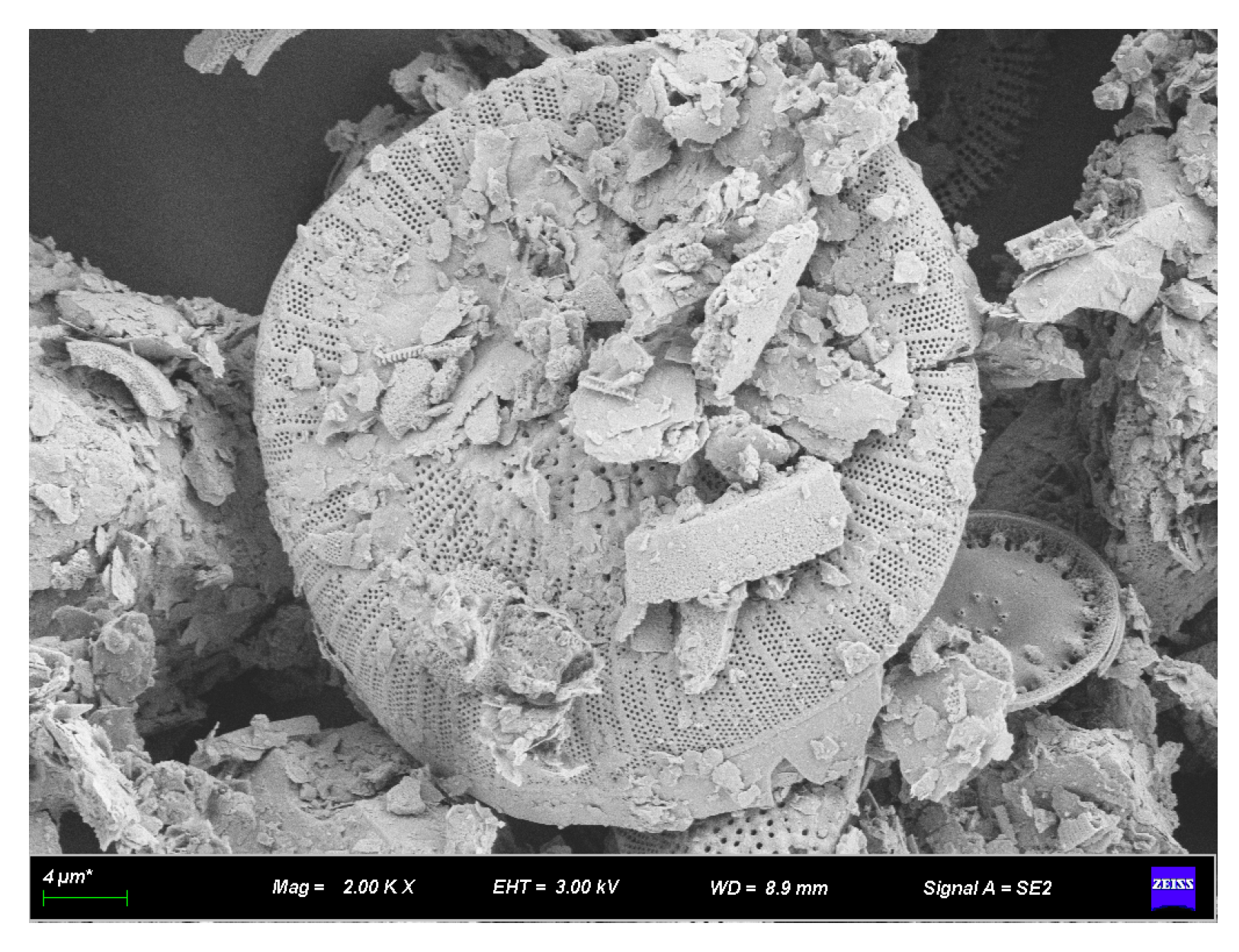 Materials 16 07359 g005