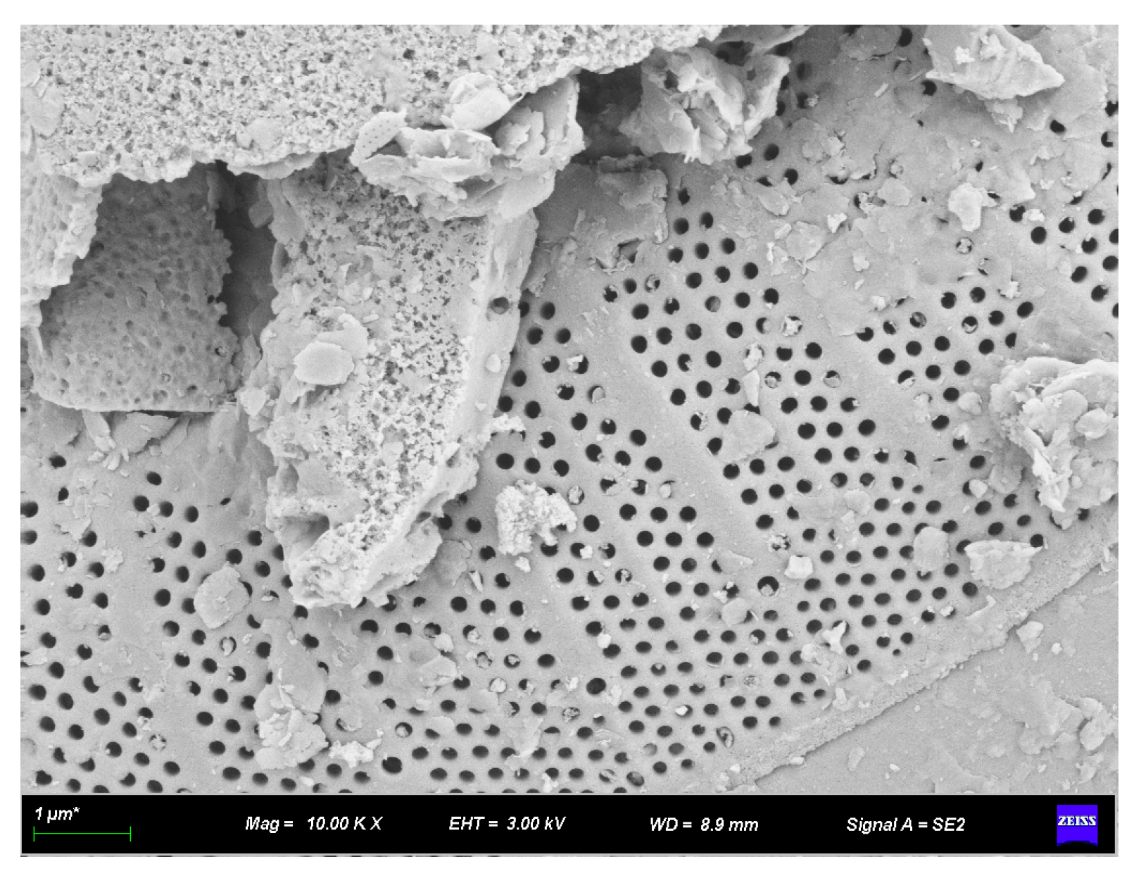 Materials 16 07359 g006