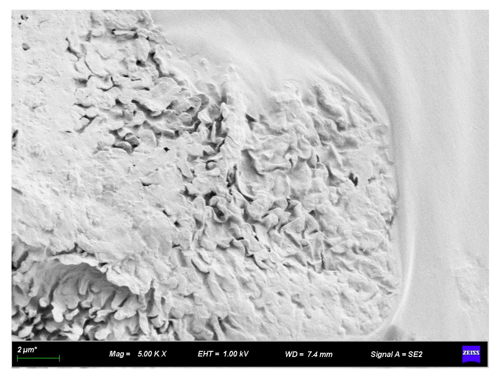 Materials 16 07359 g010