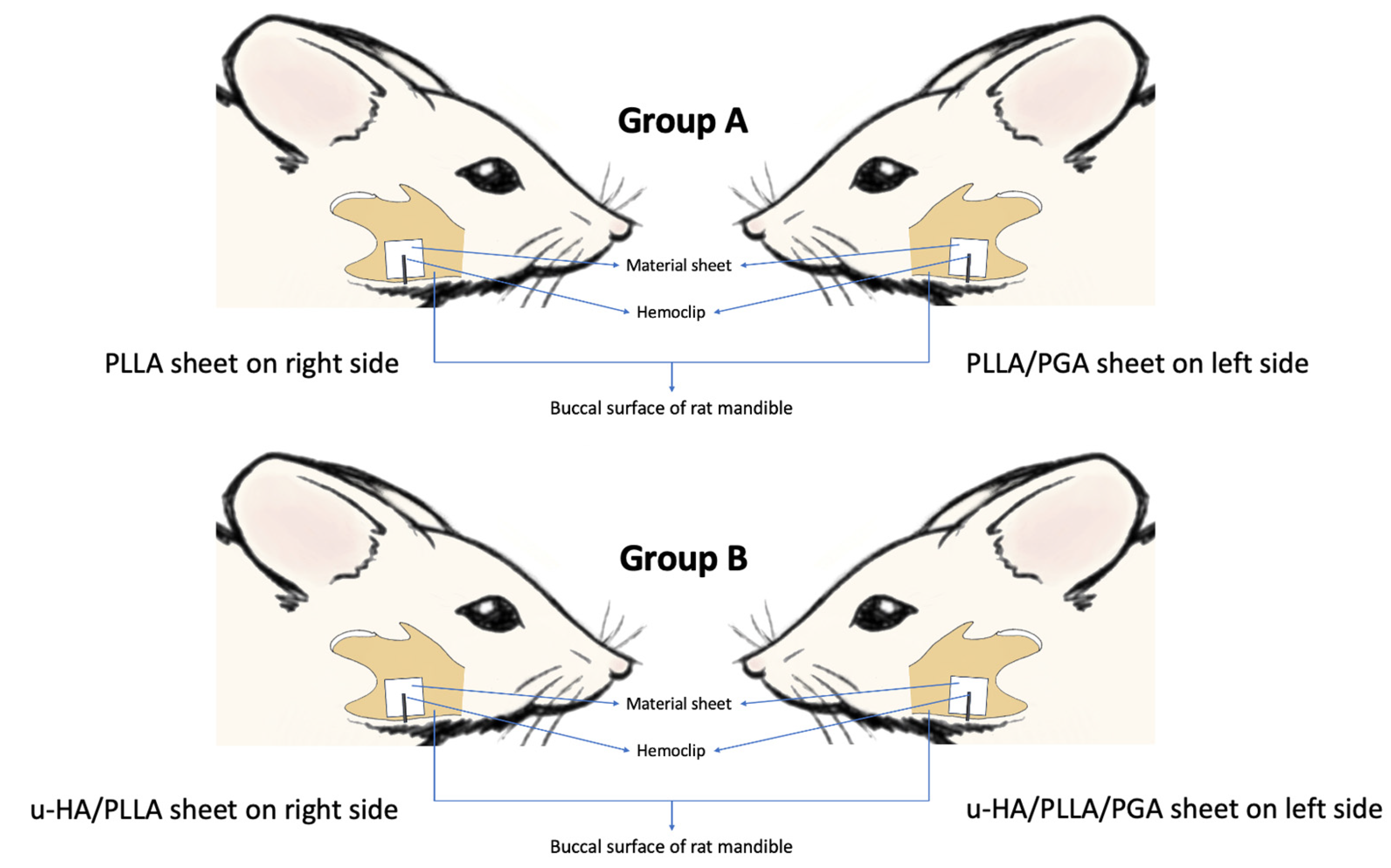 Materials 16 07379 g002