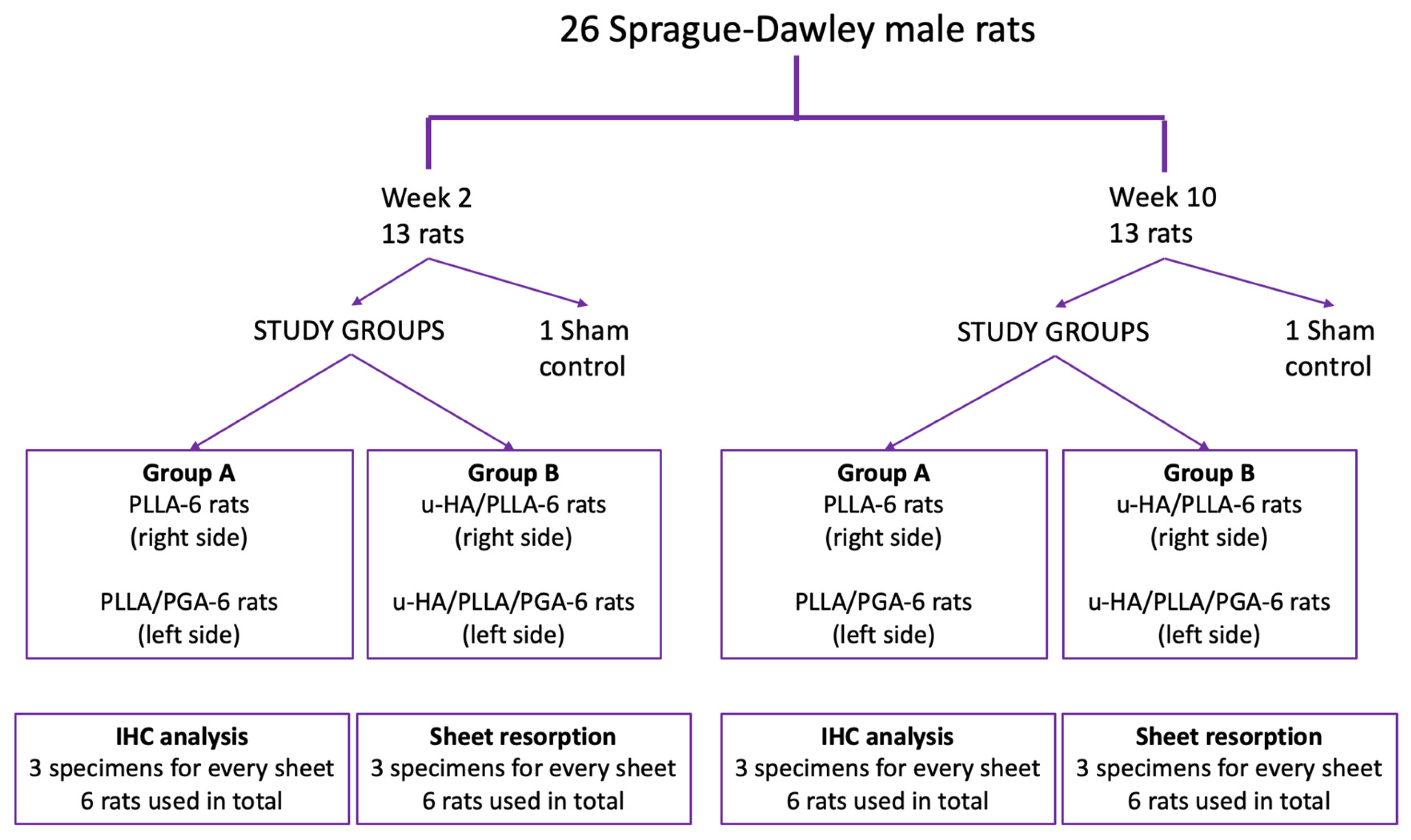 Materials 16 07379 g003