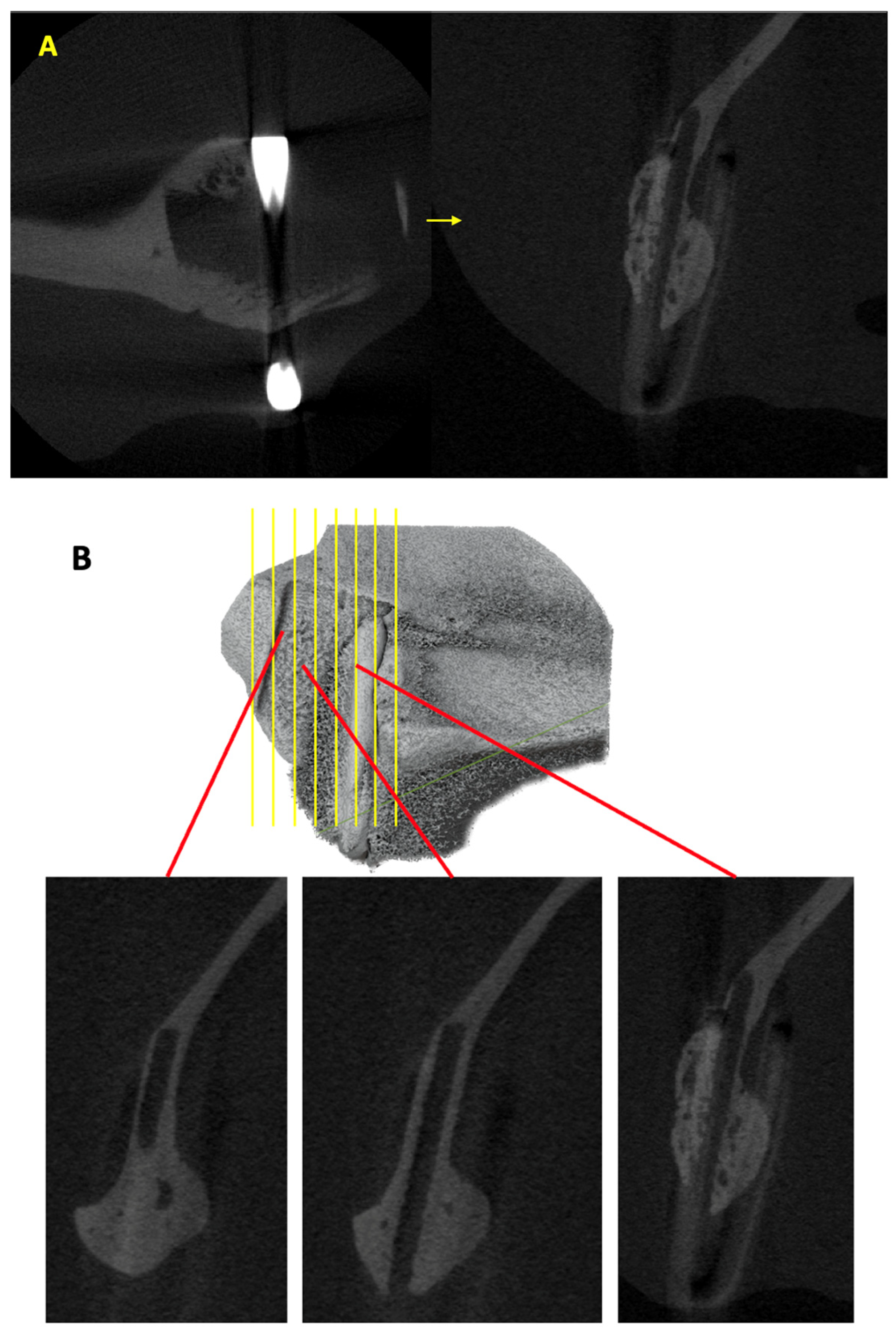 Materials 16 07379 g005a
