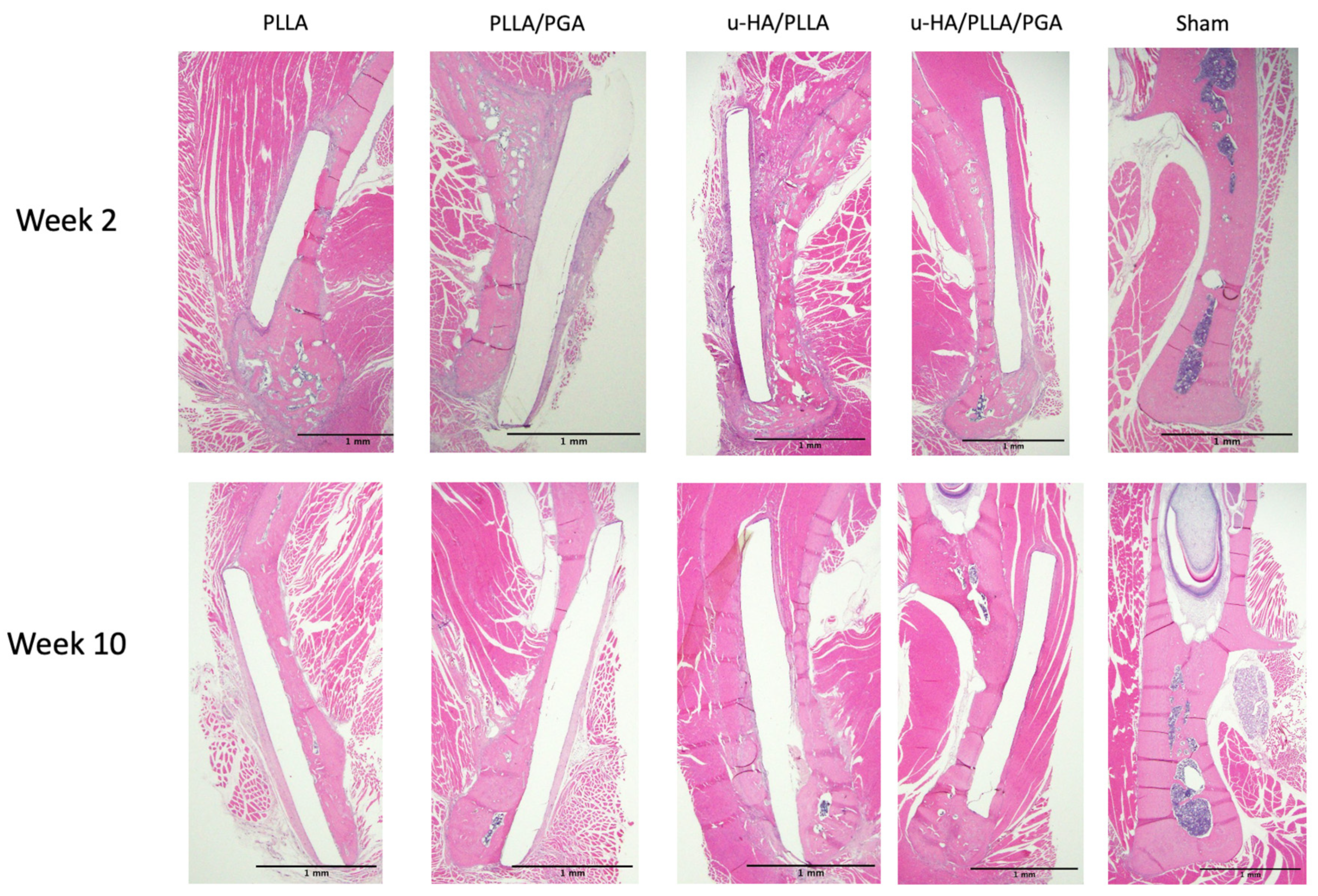 Materials 16 07379 g009